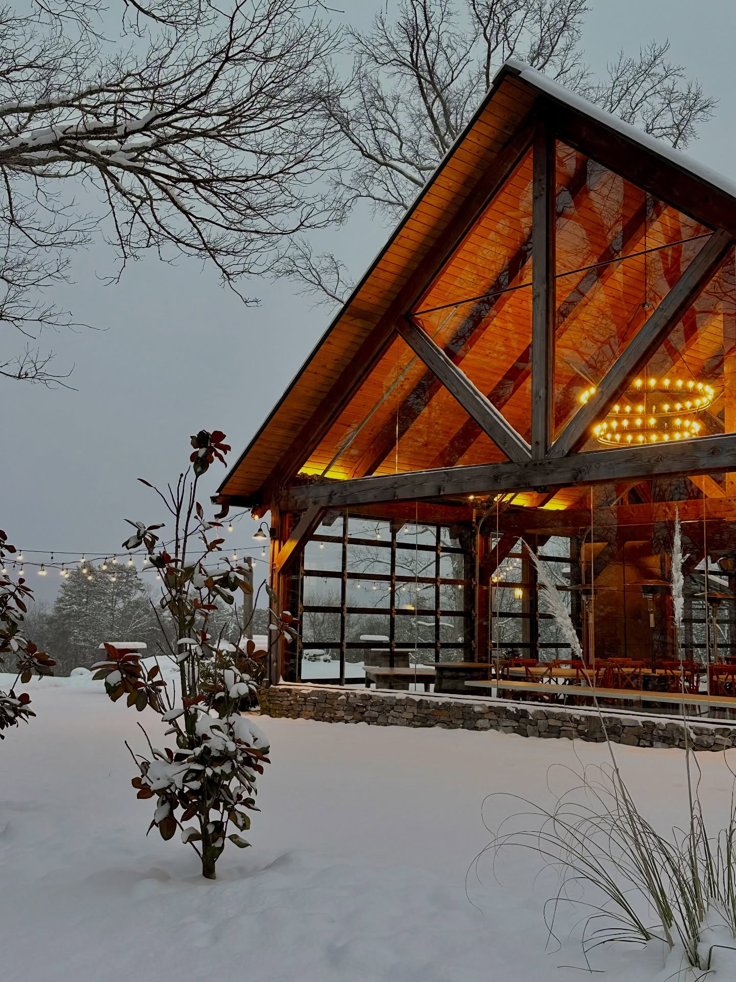 We got 7 inches in the vineyard! Swipe to see a little snowy magic! ❄️❄️❄️