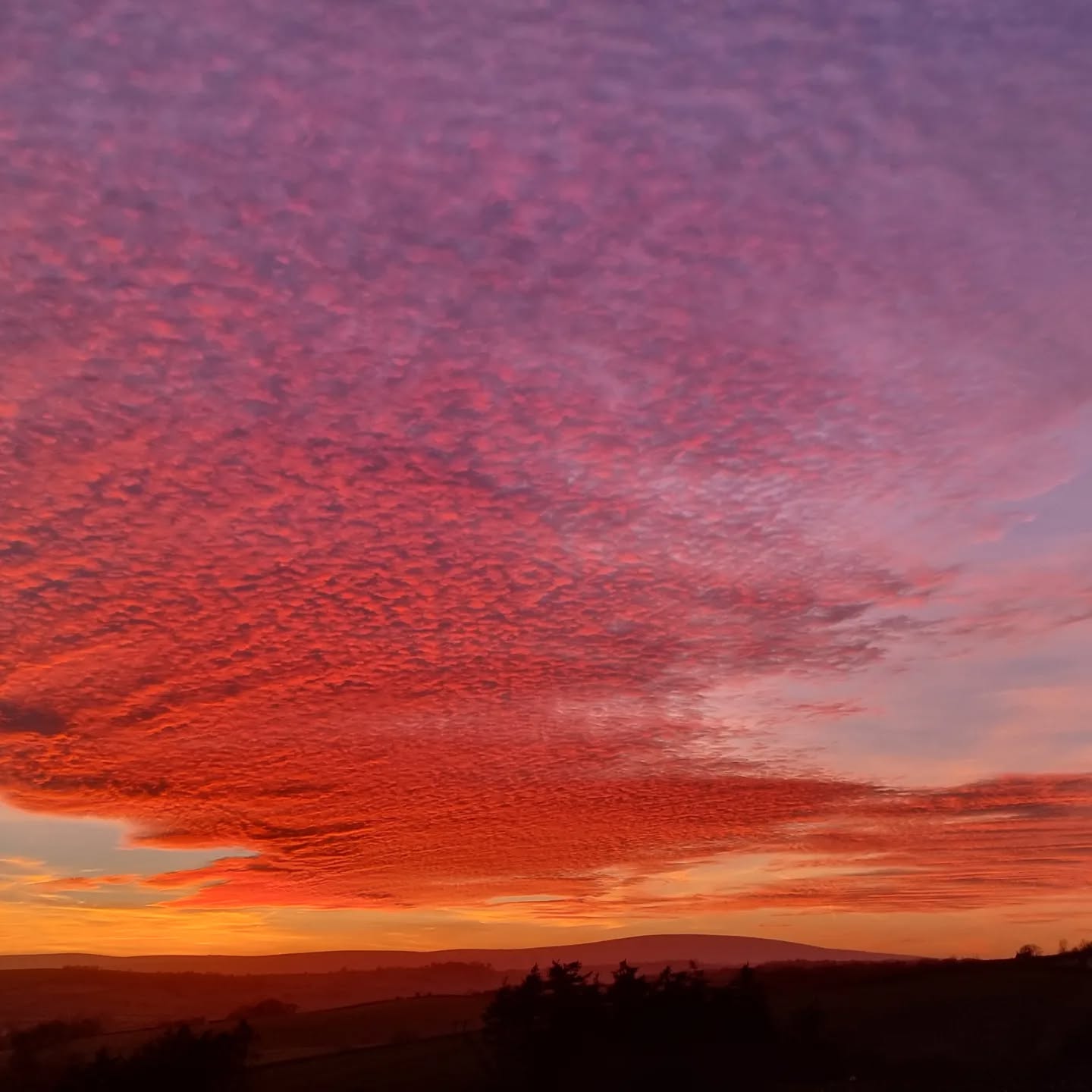 Stunning sunset tonight
#sunset #dartmoor #photooftheday