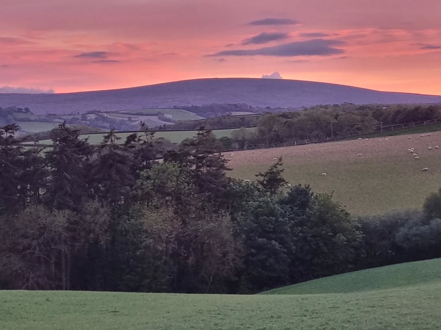Dartmoor sky, perfect end to the day.
#dartmoor #sunset #lovedartmoor #amandaprimrose