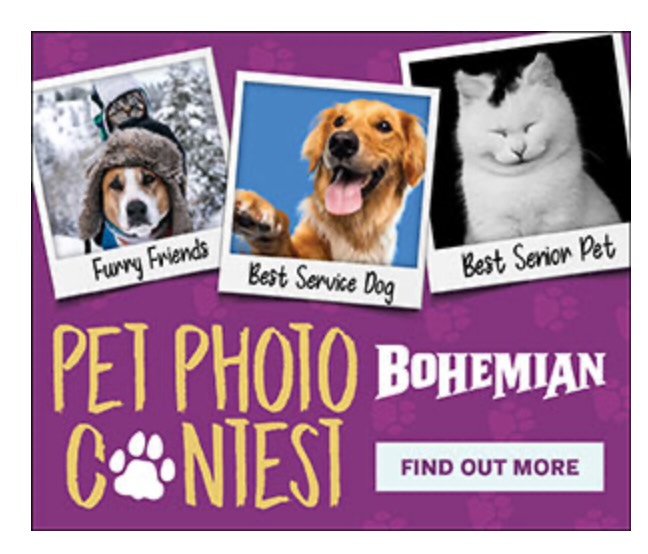 Reminder: only two days remain to vote for your favorite North Bay Pet Stars. Link in our profile @pawsarottispetshop
#pawspups #northbaybohemian #petphotocontest