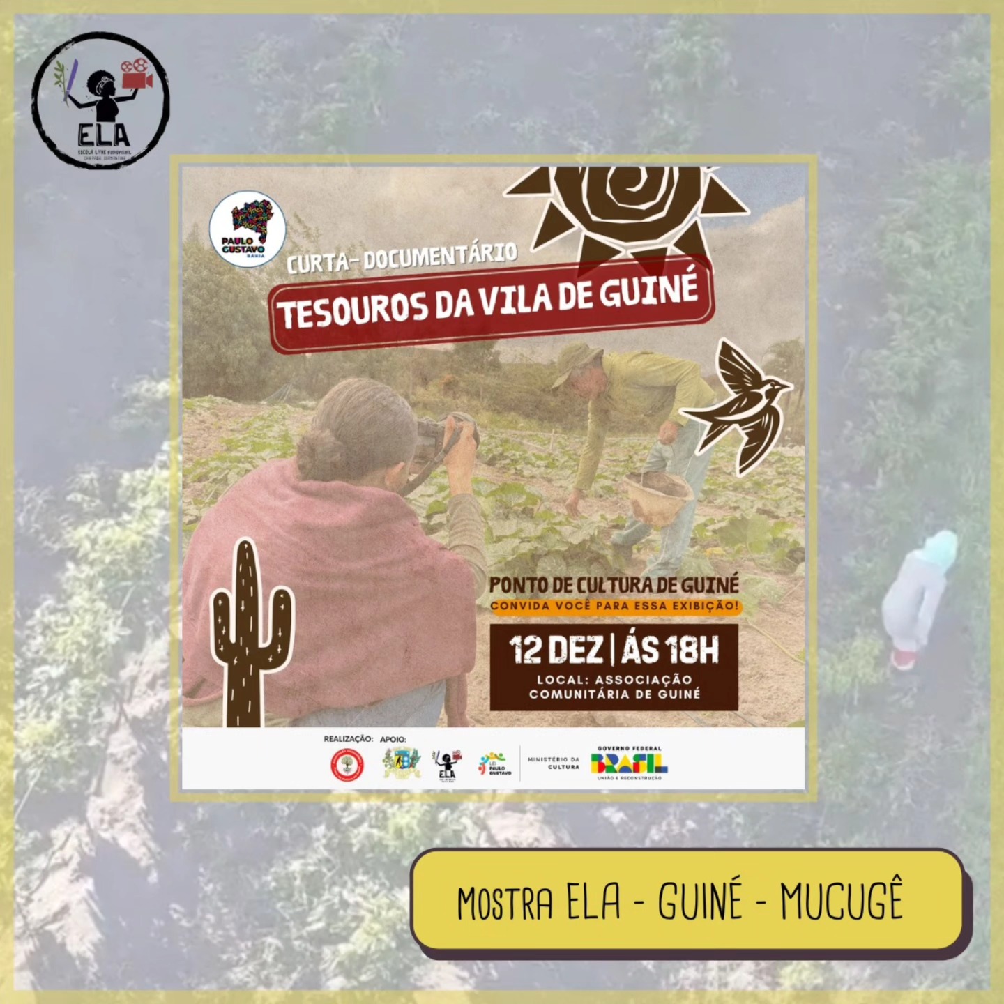No dia 12 de dezembro, o Ponto de Cultura de Guiné exibirá na comunidade o curta-metragem Tesouros da Vila de Guiné.🤩✨
🌟O documentário, dirigido por Helizete Santos mostra a vida, as relações de trabalho, desafios e a luta por uma economia sustentável realizada pelos agricultores que residem em Guiné, uma pequena Vila de Mucugê, que é passagem para turistas de todo o mundo que visitam a Chapada Diamantina na Bahia.
📽️📺A exibição conta com o apoio da ELA, num esforço para a divulgação e exibição da produção audiovisual resultante da formação ELA Diversidades, realizada ao longo deste ano de 2024.