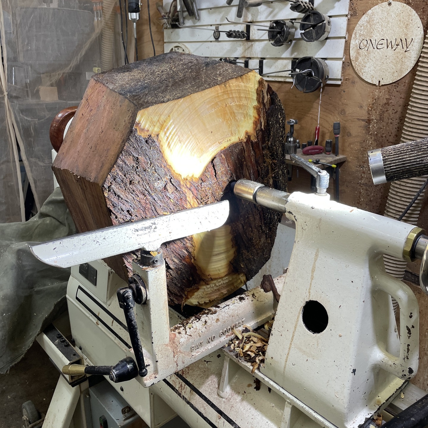 A Raffia Ladies Hat is in the works. It starts with a large 20" round of green Arbutus most of which ends up on the floor and then a friends garden. Once the turning is completed the hat is placed into a drying jig and with pressure it slowly forces the wood to take the desired shape as it dries. That process takes about a week and if the hat survives the bending process it will then get branded with a burning tool to create the raffia pattern. Once the branding is complete it will be painted with milk paint and final finishing. Also will get a wood ribbon and a wood flower to finish it off.
#woodhat #arbutus #madrone #raffia #raffiahat #darawoodworks