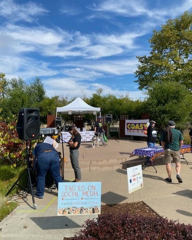 Mystery Loves Company Tours is excited to join @coast1045 and @woodshumanesociety for their Wiggle Waggle event today!
#MysteryLovesCompanyTours #woodshumanesociety #coast1045 #adoptapet #petsofinstagram #petlovers #dogs #cats #puppylove
