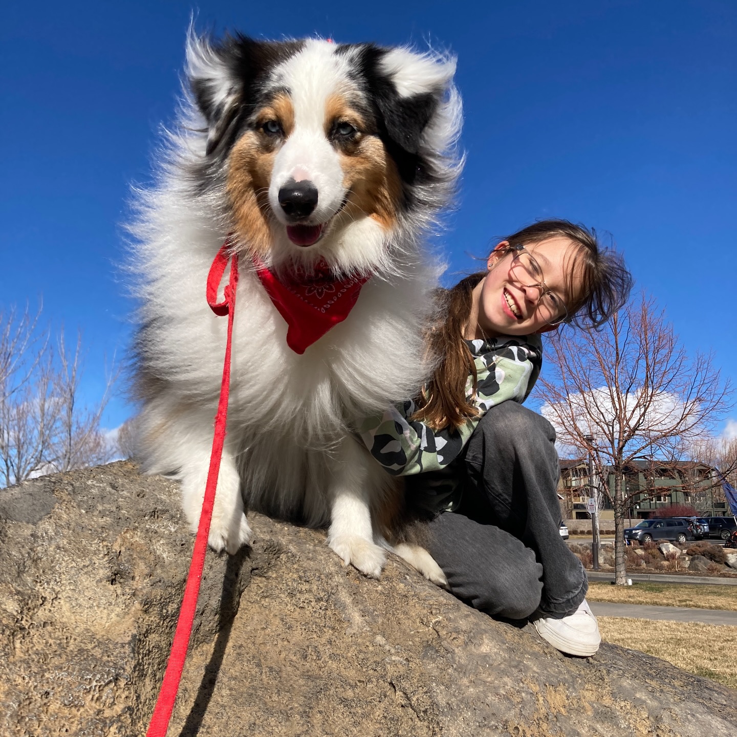 If there isn’t enough snow to ski or snowshoe then we might as well enjoy the sun, and wind!
#dogpacorgco #aussiesdoingthings @roxy_themerle