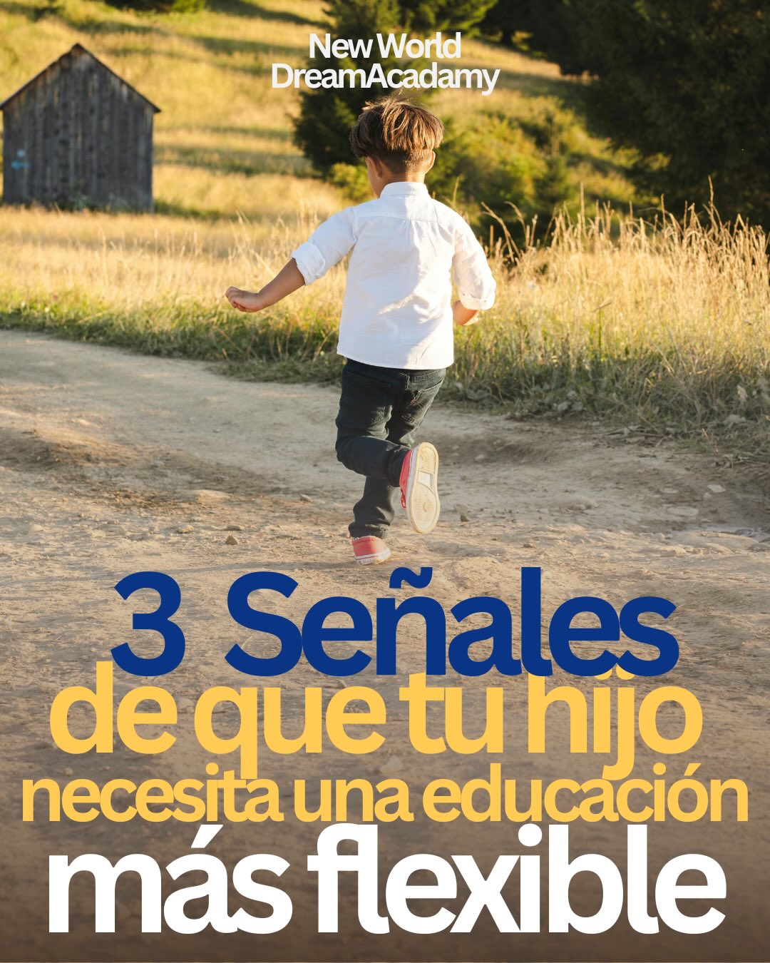¿Sientes que el sistema tradicional ya no se adapta a tu hijo?
Estas señales pueden indicar que necesita una educación más flexible y personalizada.
Cada niño aprende de forma distinta, y el homeschooling permite respetar su ritmo, intereses y bienestar emocional.
En New World Dream Academy acompañamos a familias que buscan equilibrio, atención personalizada y una educación de calidad, con certificación académica y diploma de EE. UU.
👉 Escríbenos por DM y descubre si este modelo es el indicado para tu familia.
#homeschooling #homeschool #educacionencasa #educacionflexible #worldschooling