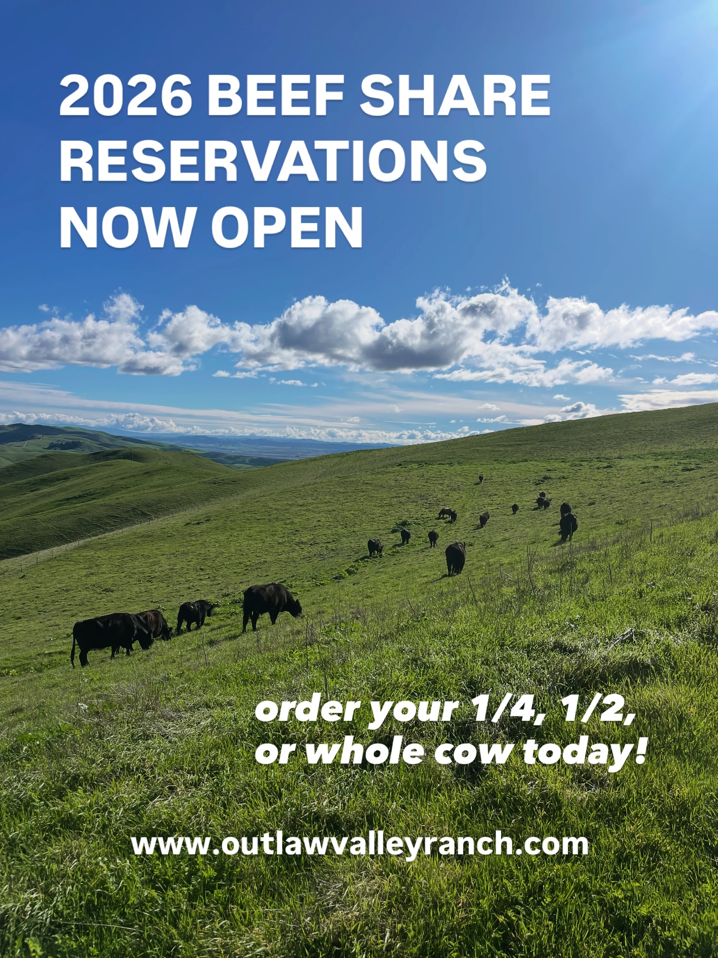 2026 beef share reservations are now officially open on our website! Reserve your share today for our annual summer harvest. Link in bio! ๐ฅฉ๐ฑ๐
#beef #localbeef #grassfedbeef #californiabeef #centralcoast