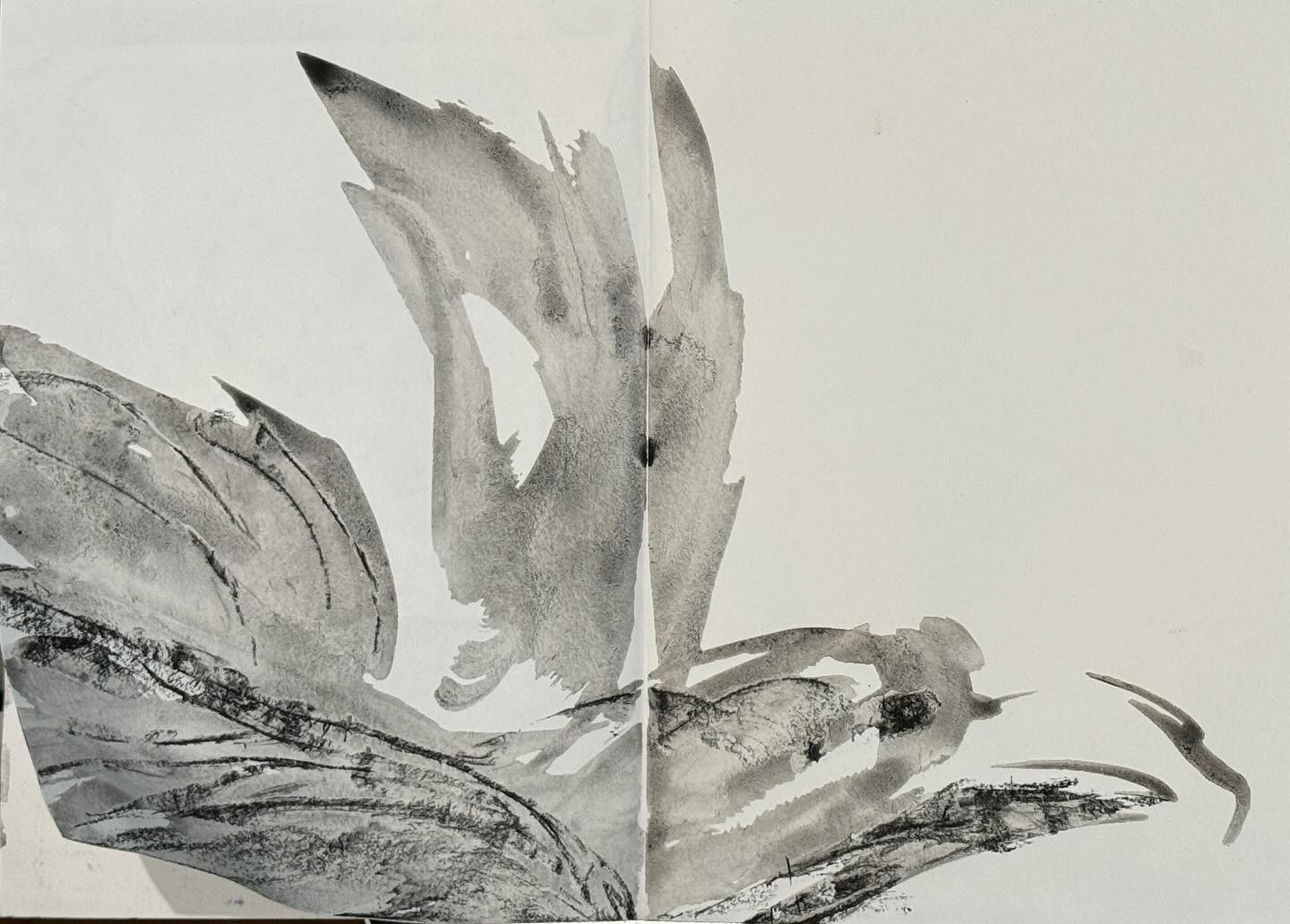 I really can work with charcoal in my sketchbook!
And a very happy #worldcreativityday2024 to all.
Artists, illustrators and mentors have influenced me. Today, I’d like to give a shout out to one who’s fresh on my mind — to @lauramckendry_art for a fabulous art workshop in her studio here in London this past week.
#drawingsmatter #drawingwithcharcoal #creativewildlife