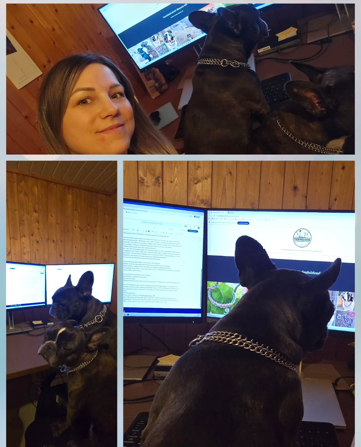 Ein kleiner Einblick hinter die Kulissen.
Wenn dein grösster Support mitarbeitet.🥰✨️😅