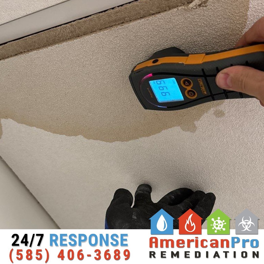 💧🔍 We don’t guess when it comes to your home — we measure!
Water damage isn’t always visible to the eye. That’s why at American Pro Remediation, we use specialized tools like moisture meters to detect hidden water in ceilings, walls, and other hard-to-reach places. This advanced approach allows us to understand the extent of the damage and create a precise plan to address it.
With technology guiding our decisions, we ensure that every affected area is thoroughly dried and restored, protecting your property and your peace of mind. 🏠✨
📞 Have water damage? Call us at 585-406-3689 for a professional assessment you can trust.
#AmericanProRemediation
#MoistureDetection
#AdvancedTechnology
#WaterDamageRestoration
#TrustThePros
#DisasterRecovery
#WeRestorePeace