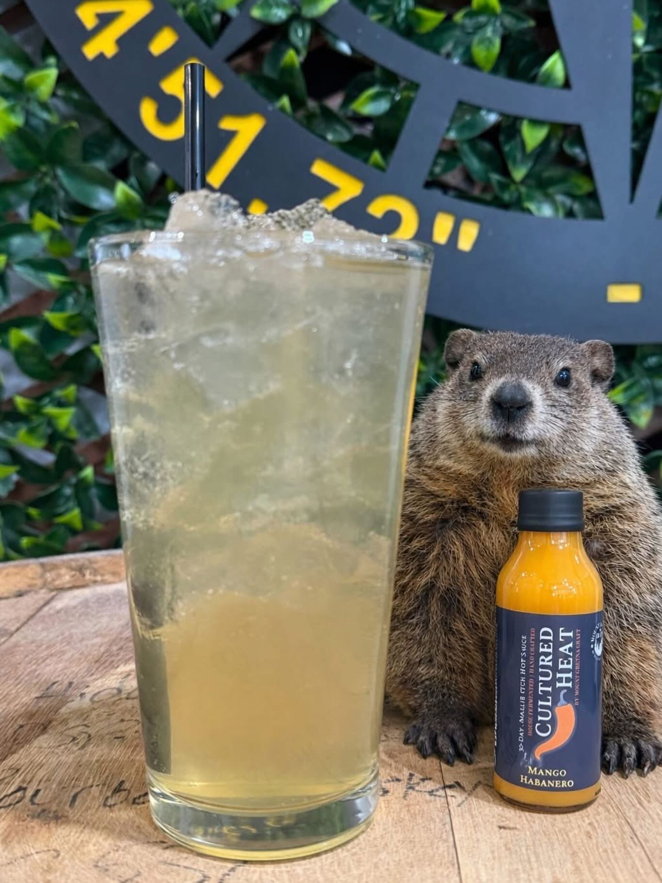 🔥 Honey Mango Habanero Soda — NOW ON TAP 🔥
PHIL may have seen his shadow…
but we’re respectfully disagreeing and choosing SPRING ENERGY 🌞🌱
Because when the sun feels closer, we release new flavors. Inspired by Cultured Heat’s fan-favorite Mango Habanero. Sweet. Spicy. Slightly unhinged (in the best way)
Weekend brunch is coming in hot, so don’t let Phil decide your fate.
Get those reservations in before your table sees its shadow. 🥂🌶️🍯