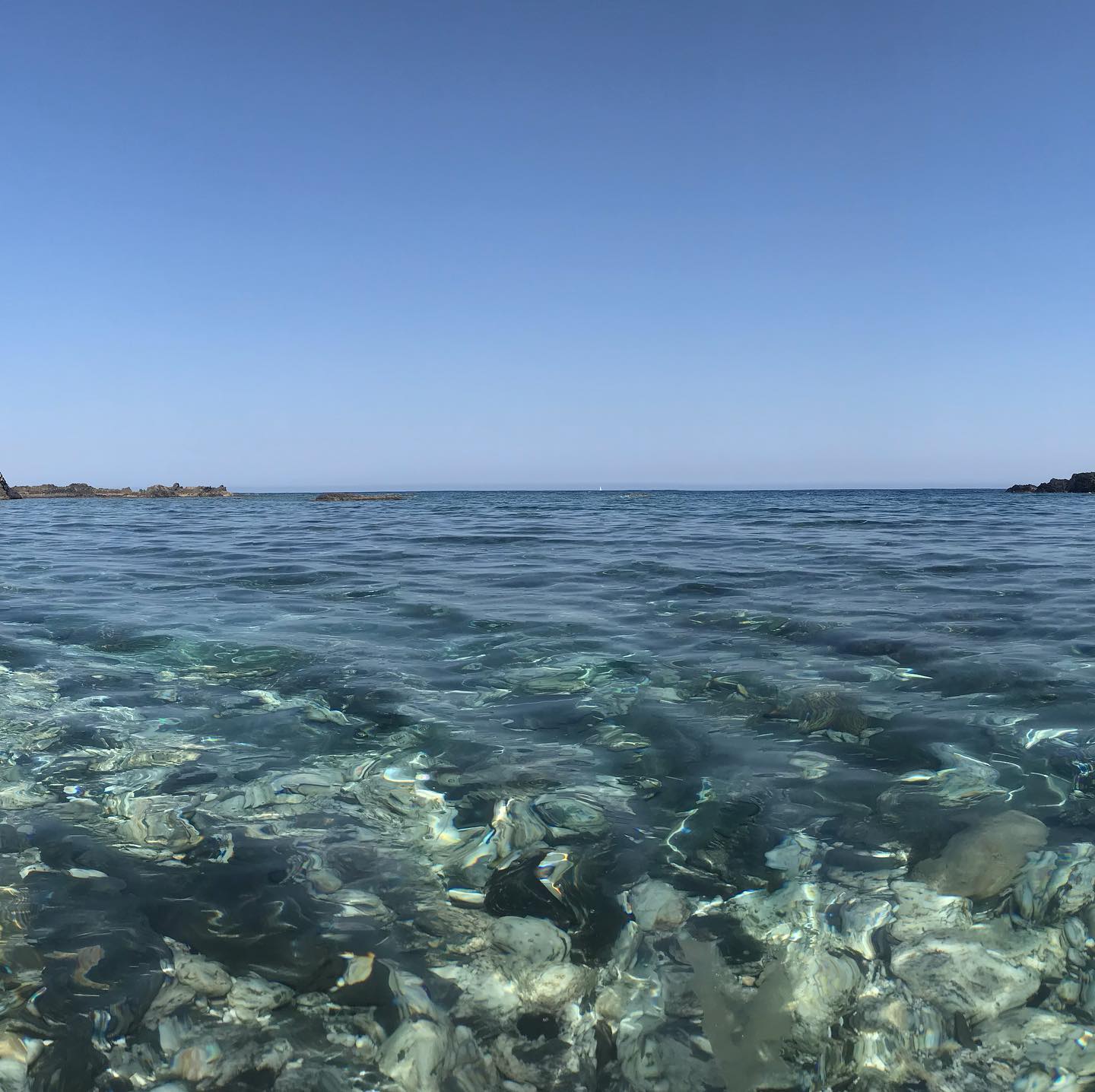 limpieza alla Cala Vergini #nurra #sardegnaphoto