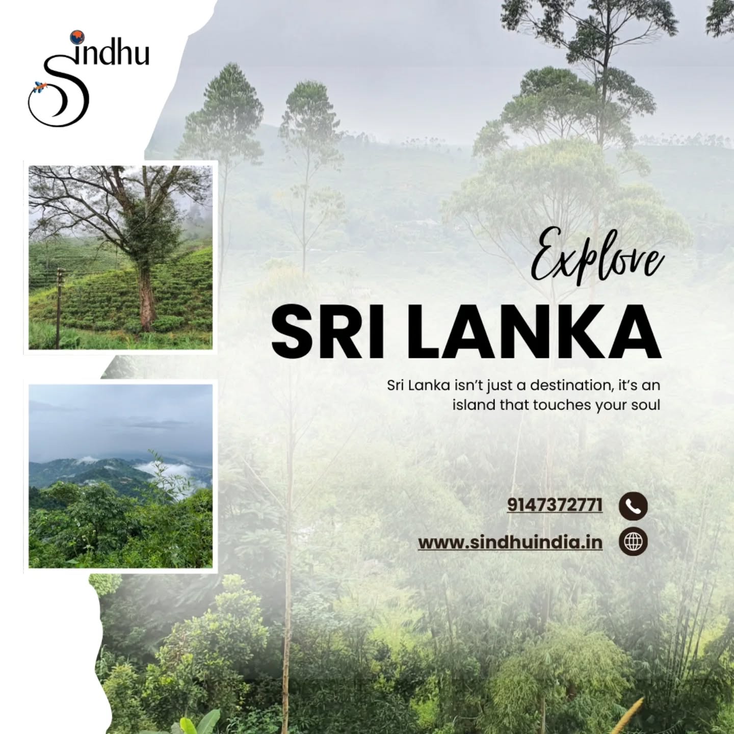 Sri Lanka Travel Journey ๐ฑ๐ฐ
A beautiful journey through Sri Lanka takes you from peaceful beaches to cool hill stations, from ancient temples to lush tea plantations. Scenic train rides, warm local hospitality, flavorful cuisine, and rich culture make every moment special. Whether itโs relaxation, sightseeing, or slow exploration, Sri Lanka offers a smooth and memorable travel experience for every kind of traveler.
#Sindhu #SriLanka #srilanka_travel #Sindhuindia #sindhutravels