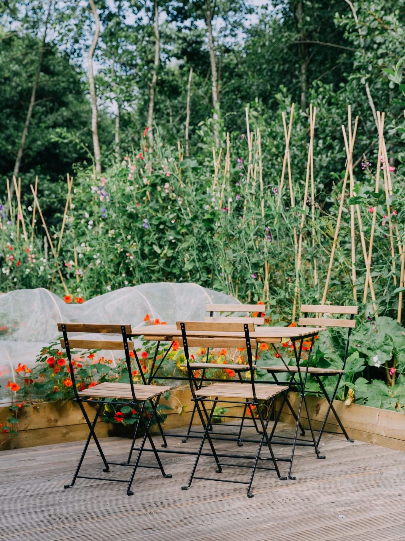 Calling all local green fingers 🫒🥕
We have a brilliant wee garden space with raised beds & plenty of potential that we would love for someone local to bring their skills & passion to!
If you would be interested in looking after the space & coming to an arrangement that works for us both please pop us a messsage:
enquiry@turnipthebeet.co.uk
🫛🥦🥬🥒🥕
#turnipthebeet #killearn #wedthighlandway #greenfingers