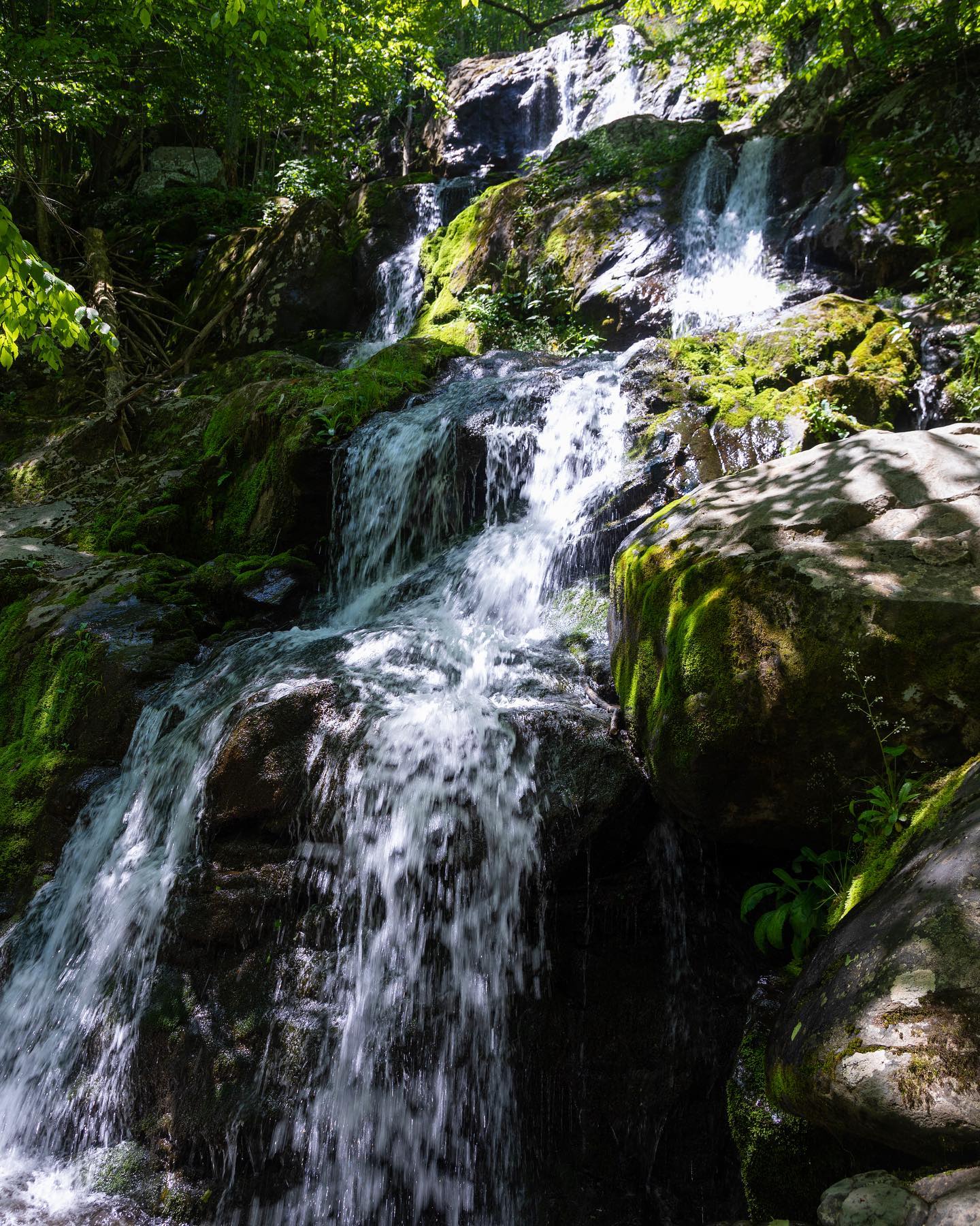 The Rose River Falls and Dark Hollow Falls loop trail is a wonderful waterfall hike in Shenandoah National Park! Full review is now on the blog. Link in bio!
#hiking #hikingadventures #waterfall #waterfalls #waterfallhike #shenandoah #shenandoahnationalpark #nationalpark #virginia #getoutside #travel #travelphotography #blog #blogpost #newblogpost