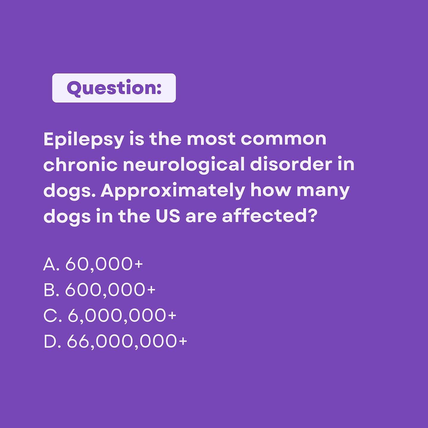 Epilepsy is the most common chronic neurological disorder in dogs. Approximately how many dogs in the US are affected?
The answer is B! ā
Epilepsy affects nearly 1% of dogs in the general population (an estimated prevalence rate of 0.62-0.82%). This translates to over 600,000 dogs in the United States alone (based on 2020 AVMA
estimates of 83.7 million dogs in the USA).
Register forĀ VetVine's Canine Epilepsy Summit šĀ https://bit.ly/PurpleDay23Ā and save with code MBPurple23. Veterinarians and veterinary technicians save $23. Non-veterinarians save $10. Valid through 3/31.Ā #PurpleDay