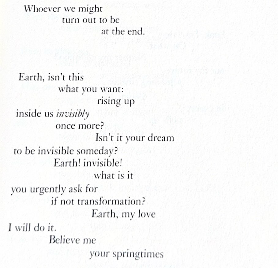 Rilke’s Ninth Elegy, from Duino Elegies.
As we embark into winter I hope you find joy in its stillness and joy will find all of us and live to meet us in all our unique beauties.