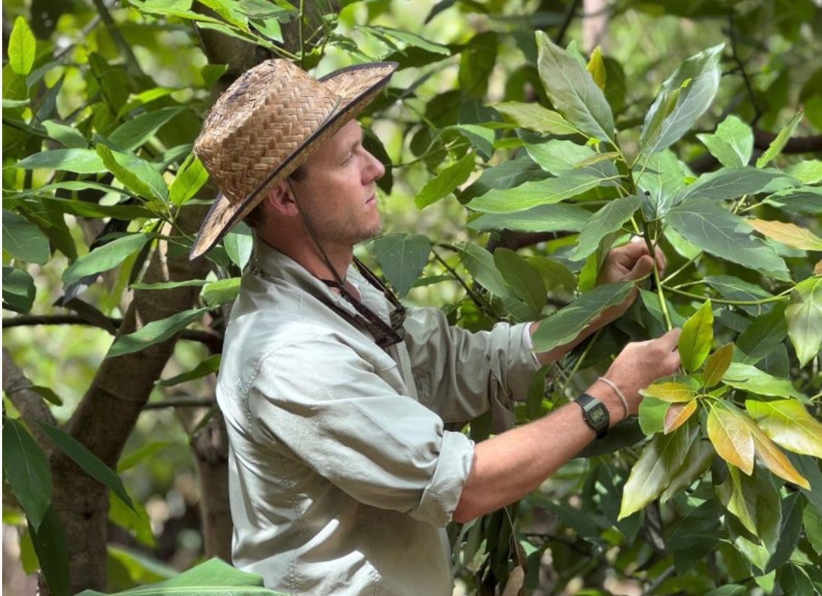 🌱 Most food systems extract from land. Few are built to restore it.
Our CEO, @sventastic_87 , shares what it really takes to rebuild soils, biodiversity, and farmer livelihoods through Syntropic Agroforestry — while still producing food that works commercially.
This isn’t theory.
It’s lived experience from implementing regenerative systems on working farms in Kenya.
🎧 The full conversation is now live —
Listen via the link in our bio under Articles
#ForestFoods #RegenerateKenya #RegenerativeAgriculture #SyntropicAgroforestry #FoodSystemsChange Agroforestry Kenya SoilHealth BeyondOrganic
