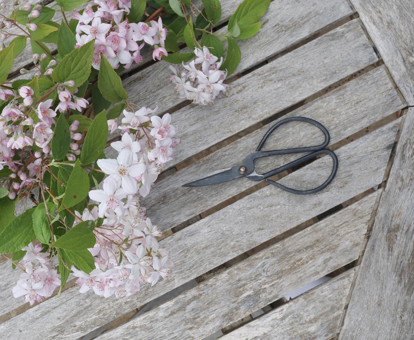 Lockdown has made me appreciate the little things in life and spending more time outdoors has been one of them.
Our veg patch is now well and truly established and I’ve been collecting flowers, branches and other foliage for the house (which I hardly ever have time to do).
One of my favourite purchases during lockdown has been these scissors from @lisavalentinehome 😍 I’m obsessed. Anything that’s beautiful and practical is right up my alley.
#WeDeclutter #professionalorganiser #homeorganisation #decluttering #organise #declutter #interiors #interiorstyle #countryinteriors #homestyle #homesweethome