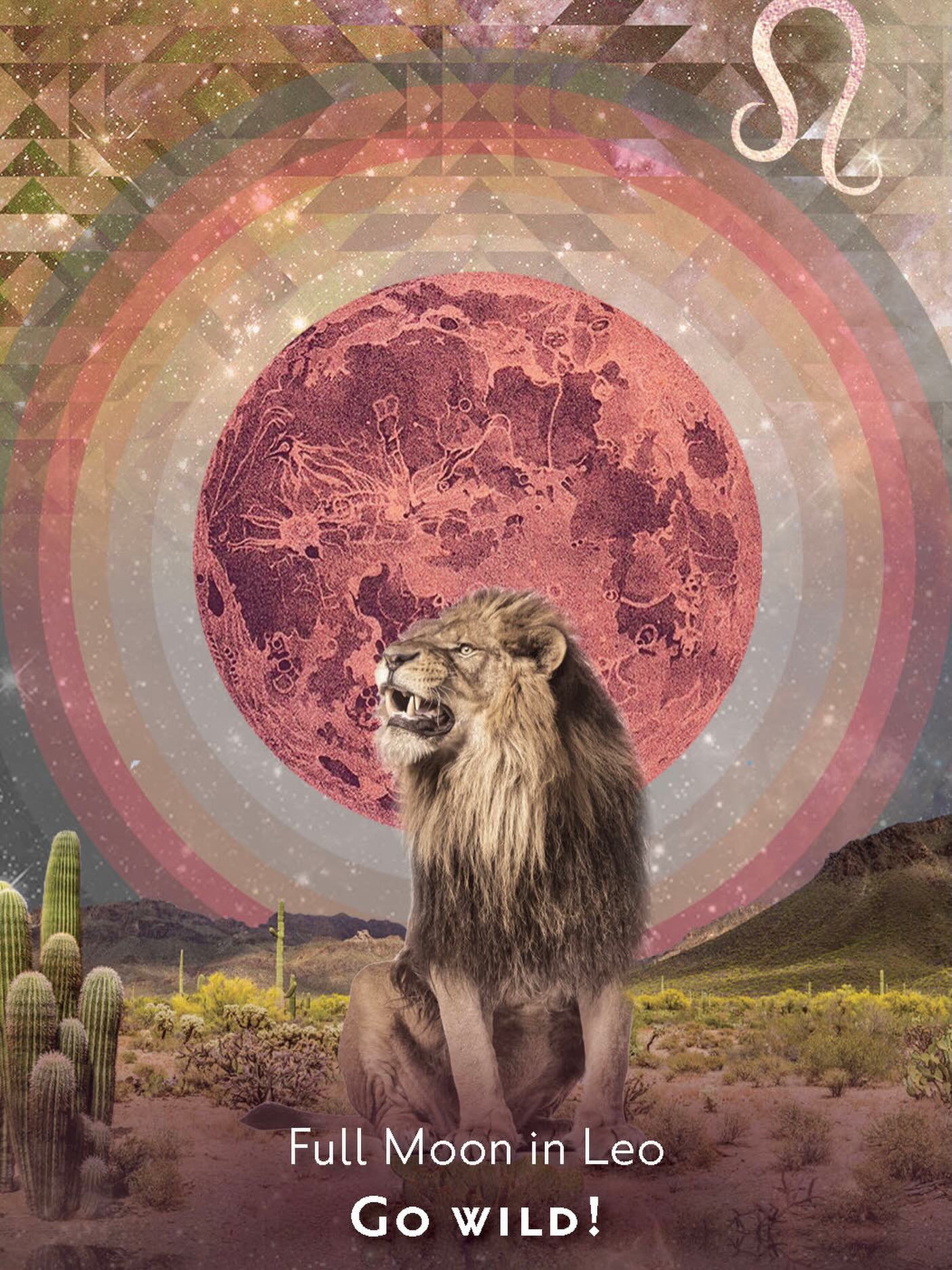 Full Moon in Leo…Hello February! ♌️🦁