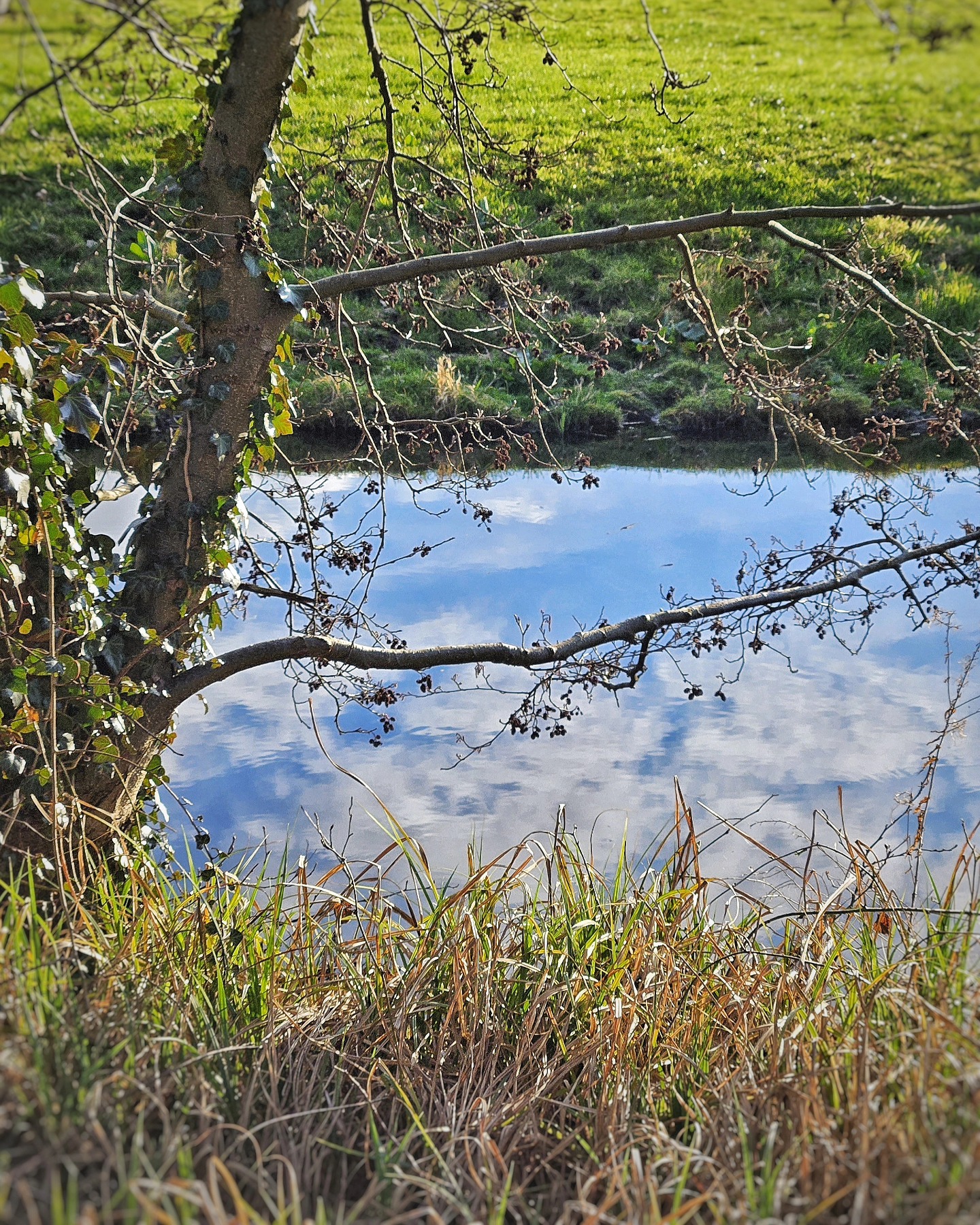#Spring is coming 🌸
#thenetherlands🇳🇱