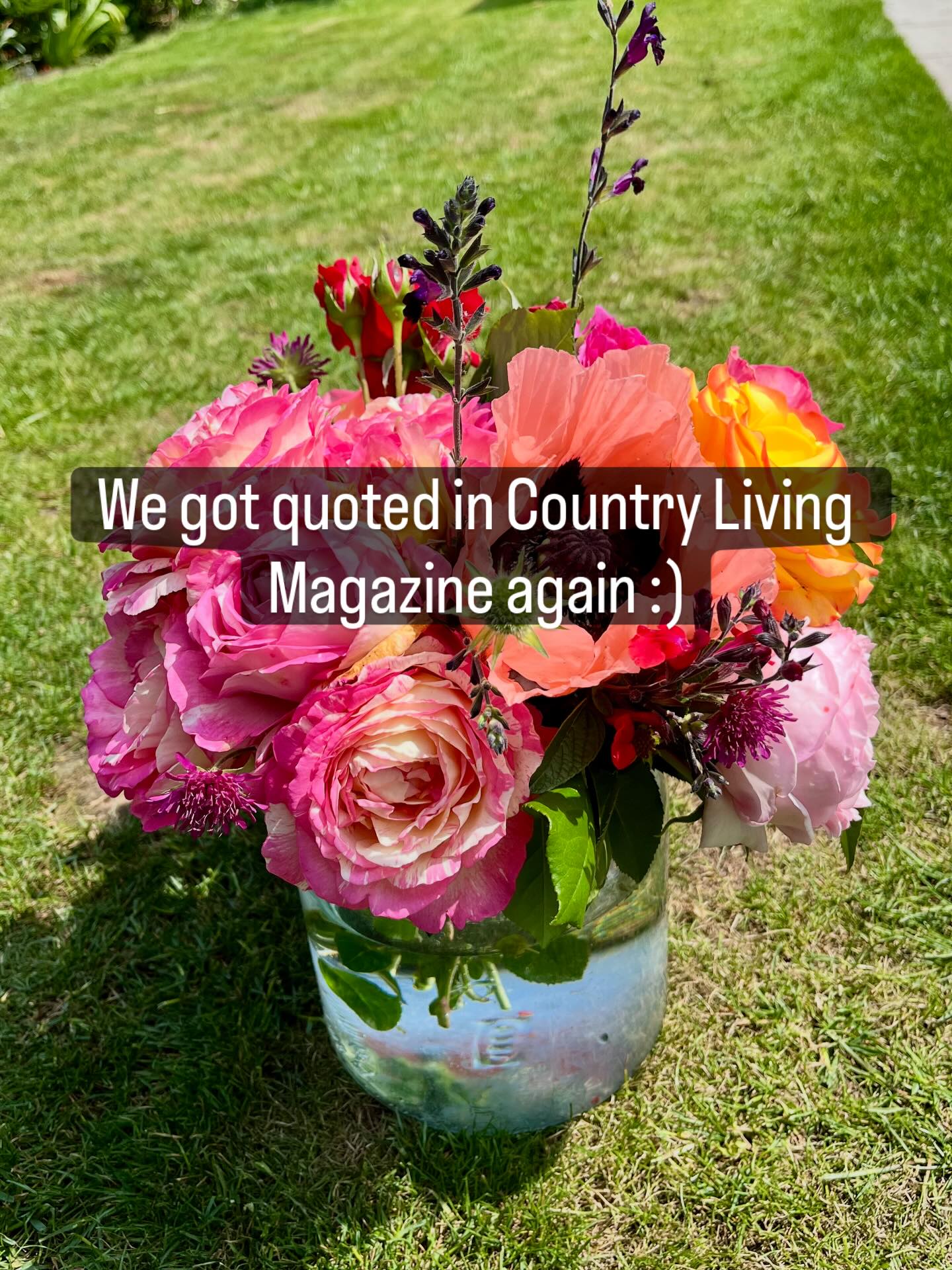 https://www.countryliving.com/uk/homes-interiors/gardens/a69942740/unfashionable-garden-plants-comeback-2026/
