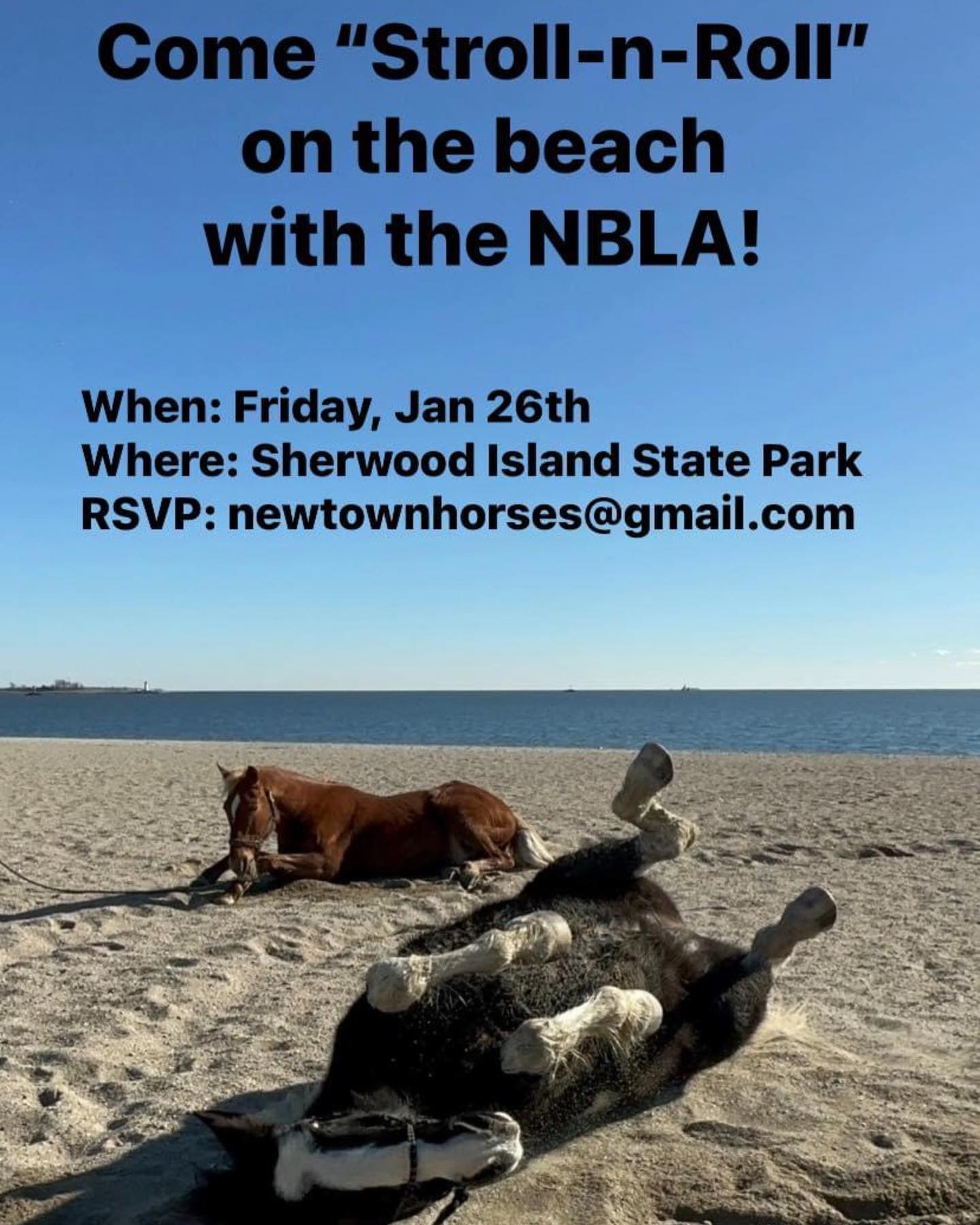 🚨🚨🚨ALERT DATE CHANGED🚨🚨🚨
RIDE IS NOW HAPPENING FEBRUARY 2nd!!!
We are kicking off our 2024 season with a ride at Sherwood Island in Westport. Leg up at 10 AM so please plan enough time to unload, tack up etc. This will be a leisurely ride down by the water’s edge and through the trails. Bring some food for a tailgate get-together afterwards. Park in the East Lot (see map below). Sherwood Island is located off Exit 18 of US-95.
The ride is for NBLA Members only! Please bring $45 cash or check with you to renew for 2024. (You can also PayPal us.)
Please RSVP by Jan 24th to newtownhorses@gmail.com.