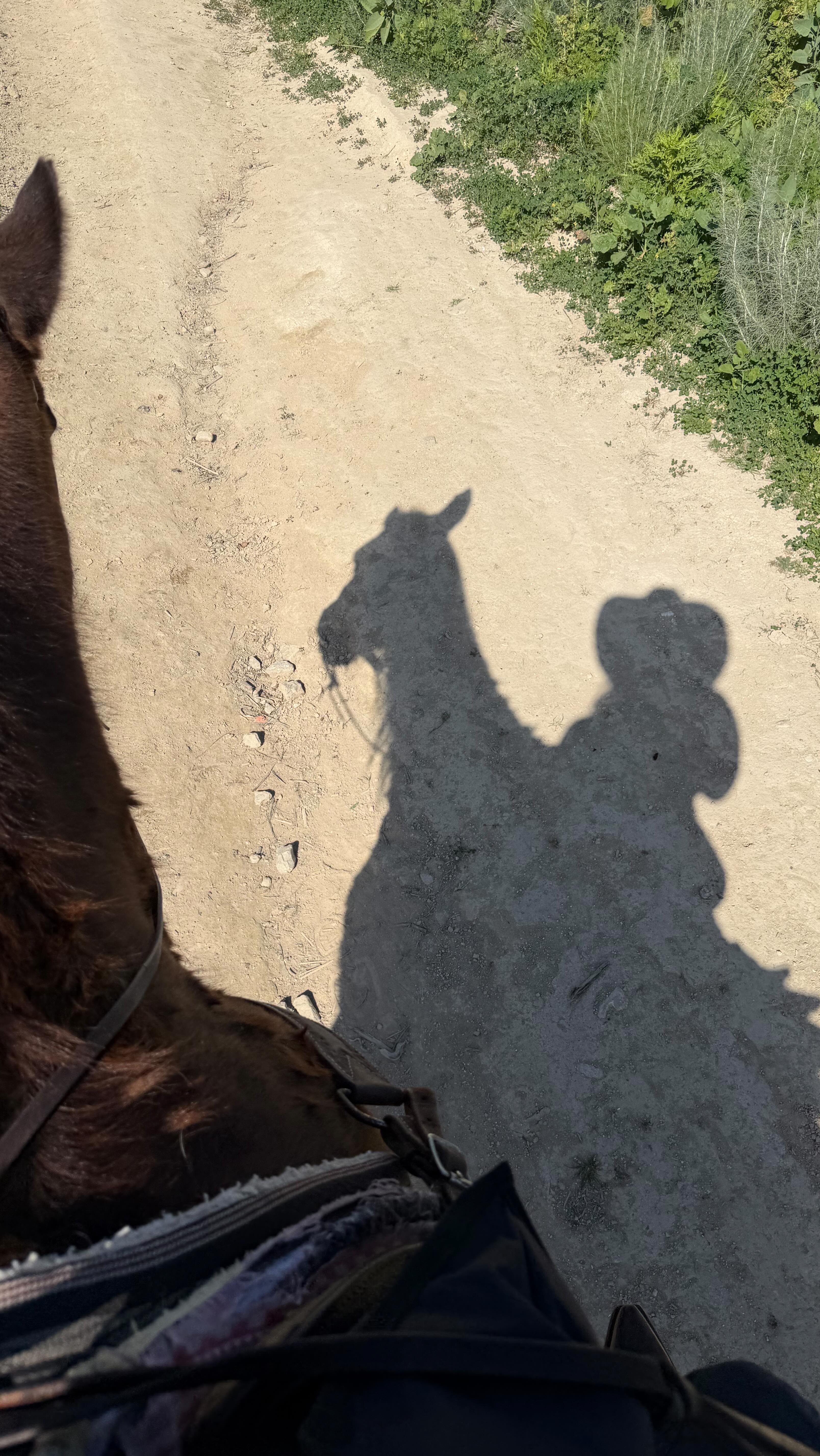 I said what I said! If you can’t nail the basics, you have no business getting into specifics like peptides or even a crazy supplement routine.
We’ve all heard the phrase you can’t out train a bad diet. So what makes you think peptides can outperform a bad lifestyle?
Don’t waste hundreds of dollars a month on peptides if you’re not able to do tackle the most basic of human needs first.
If you disagree, tell me why in the comments!