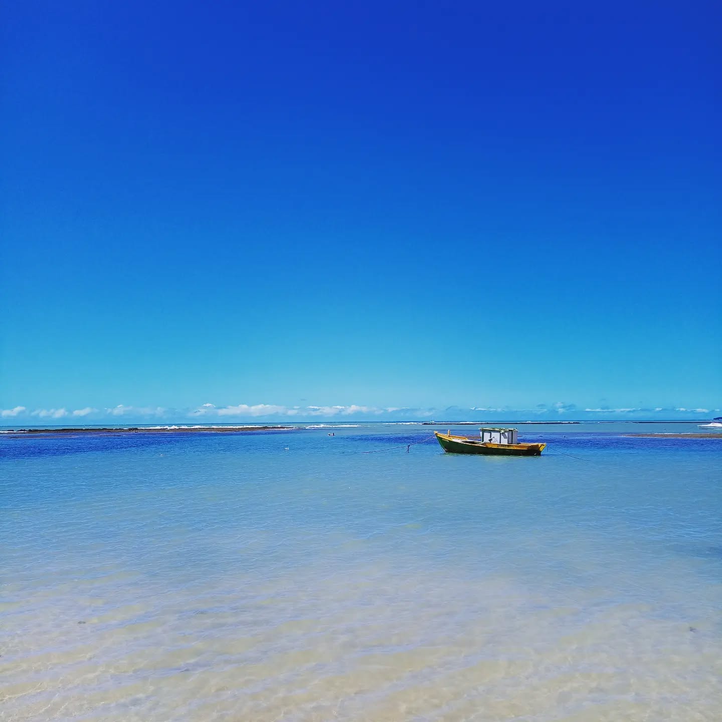 Hoje o dia tá assim🤩☀️🏖️🙌
Praia do Espelho
#transferpraiadoespelho
#transferarraialdajuda
#transfersatu
#transfertrancoso
#transfercaraiva
#transfercompartilhadocaraiva
#praiadoespelho