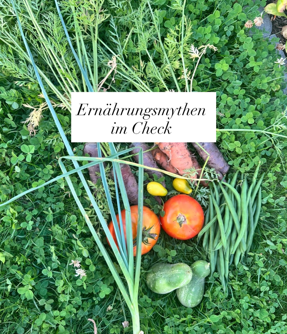 Verbote haben in unserer Ernährung nichts zu suchen, nichtsdestotrotz gibt es Essen, das deinem Körper gut tut und Essen, das deinem Körper - wenn du es im Übermaß zu dir nimmst - schadet. Ja, es macht selbstverständlich einen Unterschied, ob du einen frischen Feldsalat zu dir nimmst oder Burger und Pommes. Ob du Wasser trinkst oder Cola.
Nein, du sollst dir deshalb nichts verbieten, sondern bewusst und achtsam auswählen, was du zu dir nimmst.
Und deshalb habe ich heute einige Lebensmittel Mythen aufgedeckt.
#ernährung #abnehmen #food #essen #gesund