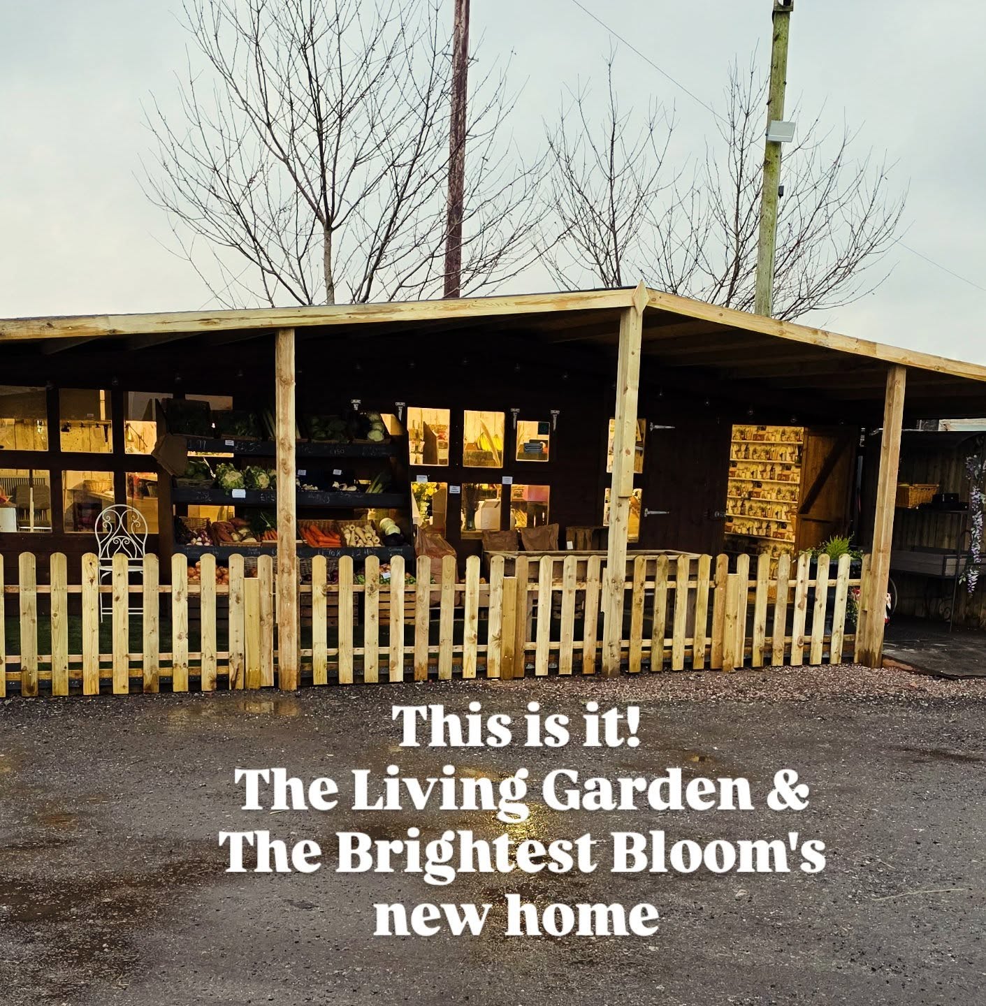 Told you she was a beauty ✨
We are so pleased with our new space! 🌱💛
Selling flowers, fruit, and veg — all under one roof — is the perfect combo. Fresh blooms to brighten your home, and seasonal produce to nourish your body, all in one place. 🌸🍓🥬
We had a fantastic first day, so a huge thank you to everyone who popped in — your support means the world to us! 💛
We’d love to hear from you — drop us a message about what you’d like us to stock, and we’ll do our best to make it happen. Just a reminder: we only stock seasonal products, so everything is always fresh and in-season. 🌿
Our new opening hours:
Wednesday to Saturday: 9am – 4pm
Sunday: 10am – 4pm
Here’s to fresh blooms, fresh produce, and a space we’re proud of! ✨
Don't forget to give The Living Garden Burntwood a follow to keep upto date with what we have on offer.
#FreshBlooms #SeasonalProduce #burntwood #LocalFlorist #GreengrocerLove