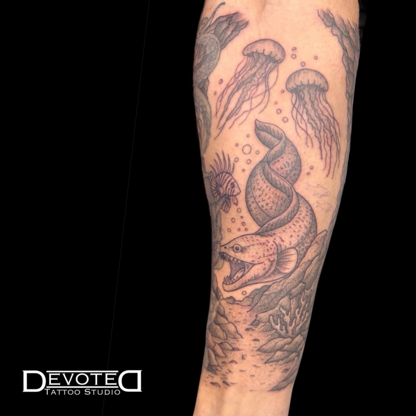 What’s below the surface of the water?
Awesome tattooing, duhhh
This piece by James captures fear, but in a finely crafted way.
Watch where you swim
🏊♂️🏊♂️🏊♂️
Tattoo by James — @sageofthesicktats
📍 Devoted Tattoo Studio | Flagler County’s Premier Tattoo Destination
Walk-ins welcome • Booking available through DM!
#DevotedTattooStudio #DevotedTattoo #FlaglerCounty #PalmCoast #Tattoo