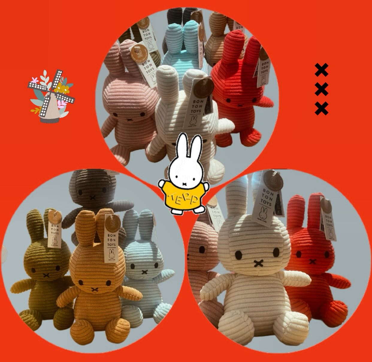 Nijntje Miffy Niederlande im CADO 🤗