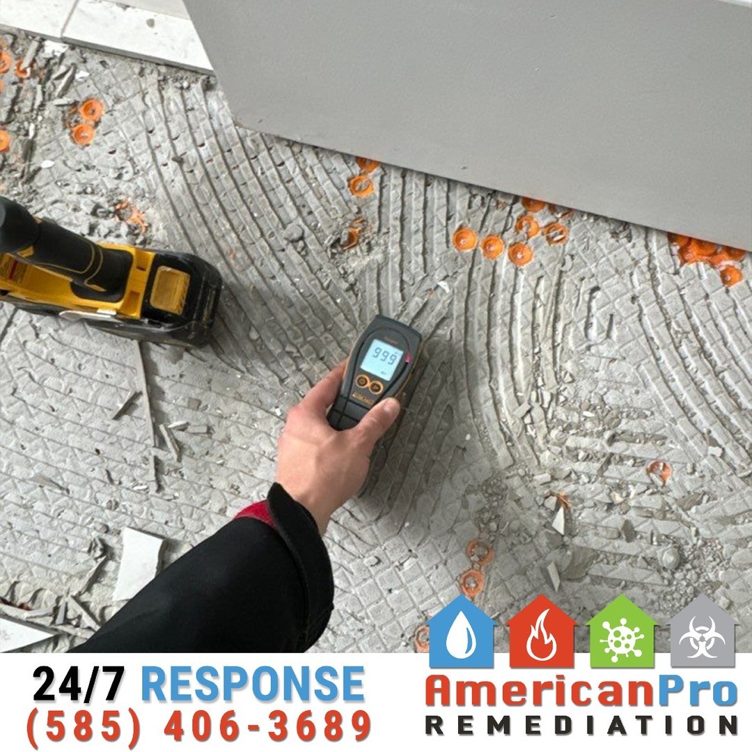 💧🔍 Hidden Moisture Beneath Tile: The Problem You Can’t Ignore
Water damage doesn’t always show itself immediately — moisture can seep beneath tiles, causing unseen problems like mold, weakened adhesive, and structural damage. At American Pro Remediation, we specialize in detecting and addressing moisture beneath tiled surfaces to prevent long-term issues.
🔹 Our Approach:
➡️ Advanced Moisture Detection: Using specialized tools, we pinpoint the extent of the moisture beneath the tiles.
➡️ Careful Removal: If needed, we safely remove tiles to expose the damaged subfloor or structure for thorough drying.
Moisture beneath tiles isn’t just inconvenient — it’s a risk to your property’s health. Let us take care of it before it becomes a bigger problem. 🏠✨
📞 Call 585-406-3689 today for expert water damage detection and restoration.
#AmericanProRemediation
#HiddenMoisture
#TileRestoration
#WaterDamageRecovery
#MoldPrevention
#DisasterRecovery
#WeRestorePeace