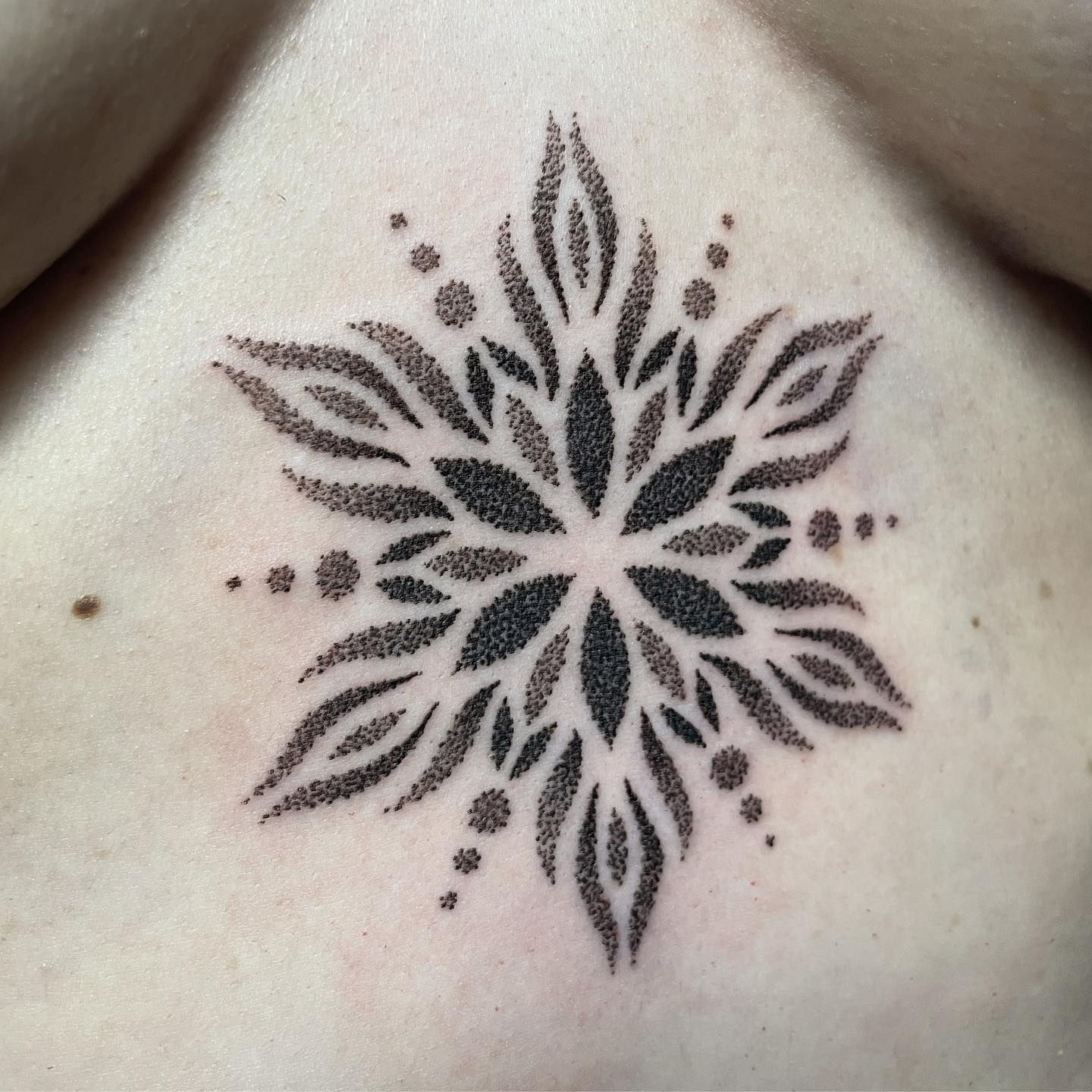 Thanks Rebecca
.
.
.
.
.
#fresno #hanford #ink #inked #insipration #inspirationbusiness #inspirationdaily #inspiredaily #inspodaily #instainspo #neutralstyle #neutraltones #pacificnorthwest #prettylittleiiinspo #styleinspo #tattoo #tattooart #tattoodo #tattooed #tattooedgirls #tattooer #tattooideas #tattoolife #tattoolover #tattoomodel #tattoooftheday #tattoos #tattoosleeve #visalia #visaliatattoo