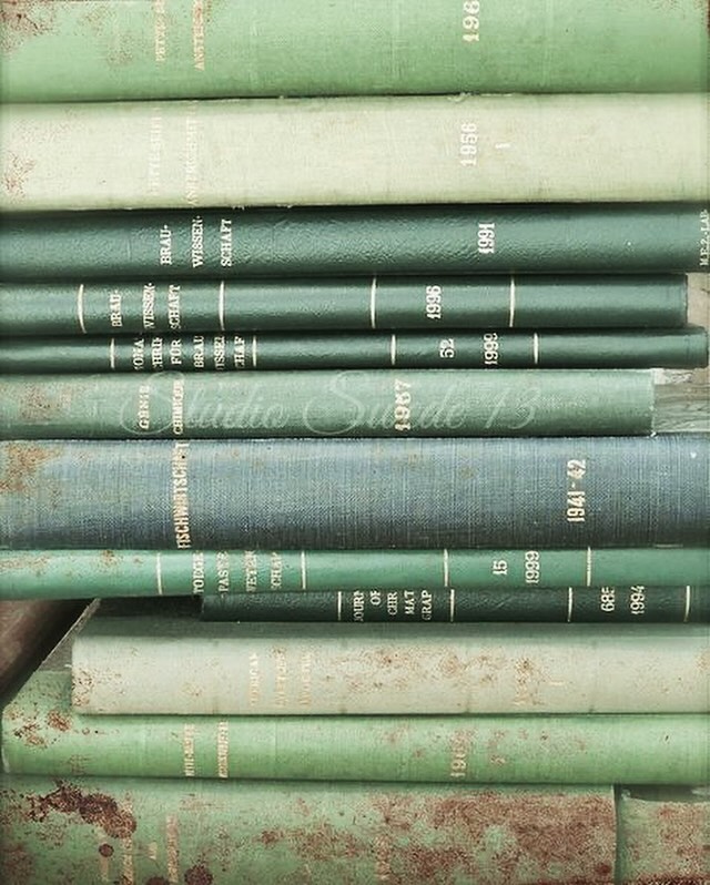 Fun fact: According to Stanford, stories are 22 times more memorable than facts alone!
I just dropped a new blog, “The Timeless Power of Storytelling.” Check it out at Greeninkcopywriting.com!
#Storytelling #EntrepreneurialSuccess #BrandBuilding #Ghostwriter #Ghostwriting #Copywriting