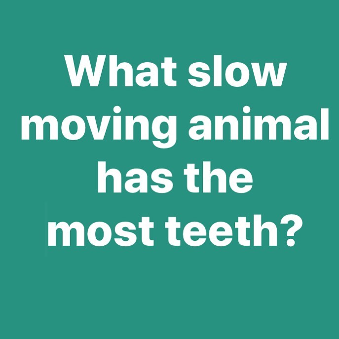 A little joke to kick off your Friday! Answer in comments