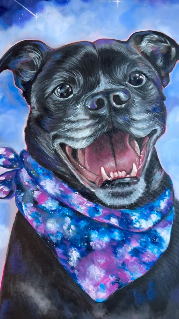 We’re cheering on the CATS tonight, but I’m still dreaming of this sweet puppy I got to paint for @cassiemjones88 and @nolancolliver.
Thanks to @maftron for trusting me with special projects and for always being willing to add some more whimsy.
#petportrait #dogpainting #custompetportrait #kyartist #petmemorialgifts