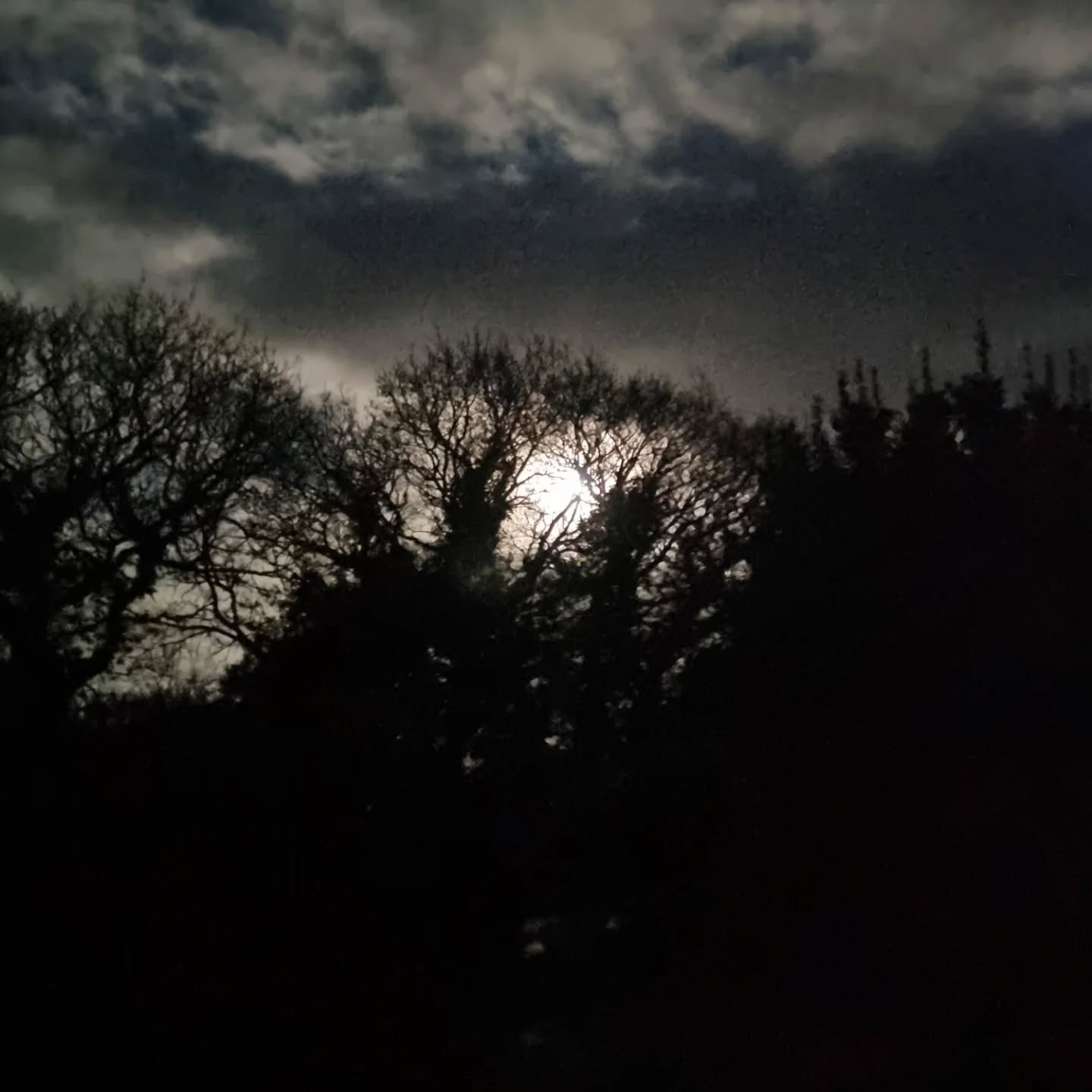Full moon rising over Dartmoor - the February Goose Moon 🌕
Tonight's full moon is sometimes called the Goose Moon, a marker of deep winter. In the hush of February, it speaks of the slow turn toward spring, as wild geese begin to stir and prepare for the seasons ahead.
#FebruaryMoon #GooseMoon #FullMoon #Dartmoor #VisitDartmoor #DartmoorNationalPark #Devon #WildDartmoor #WinterMoon #MoonRise #NightPhotography #DartmoorLandscape #DarkSkies #AncientLandscape #WinterWilderness #CelticFolklore