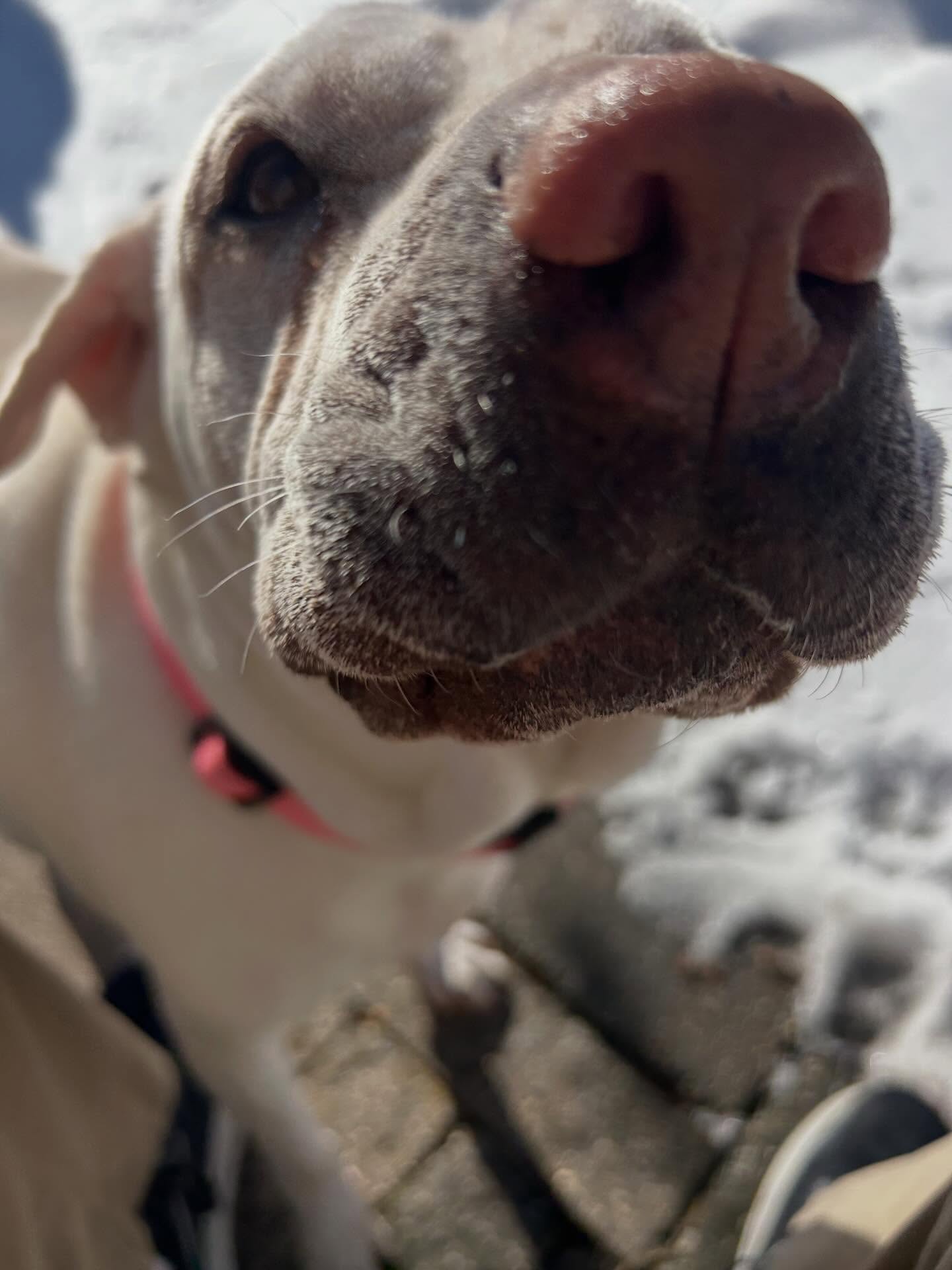 Beatrice says BOOP! ๐๐พ