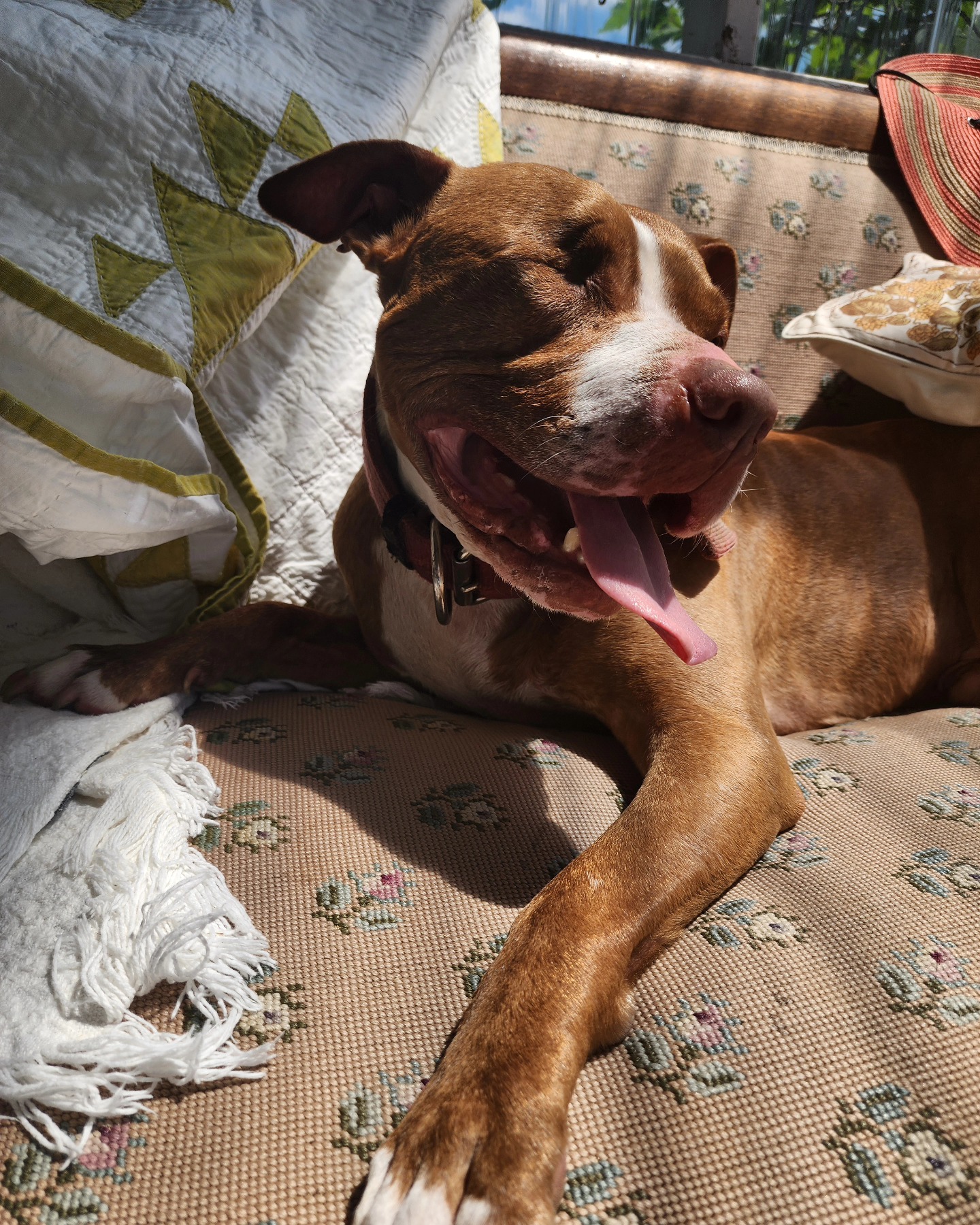 Every side is his good side. #stinkywinky