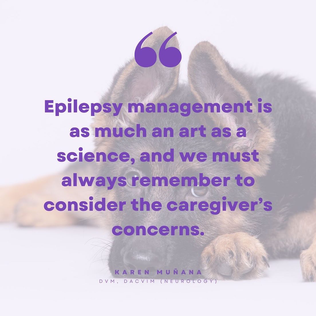 What do you consider critical to successfully managing a dog with
epilepsy?
āEpilepsy management is as much an art as a science, and we must
always remember to consider the caregiverās concerns. Thereās not a āone-size-fits-allā approach to treating dogs with epilepsy. Some owners, for example, are focused on avoiding the side effects of medications, whereas others have a primary goal of reducing or eliminating seizures altogether. These considerations impact our recommendations and should be taken into account when deciding on a treatment plan for an individual dog.ā ā Karen MuƱana, DVM, DACVIM (Neurology)
Register for VetVine's Canine Epilepsy Summit š https://bit.ly/PurpleDay23 and save with code MBPurple23. Veterinarians and veterinary technicians save $23. Non-veterinarians save $10. Valid through 3/31. #PurpleDay