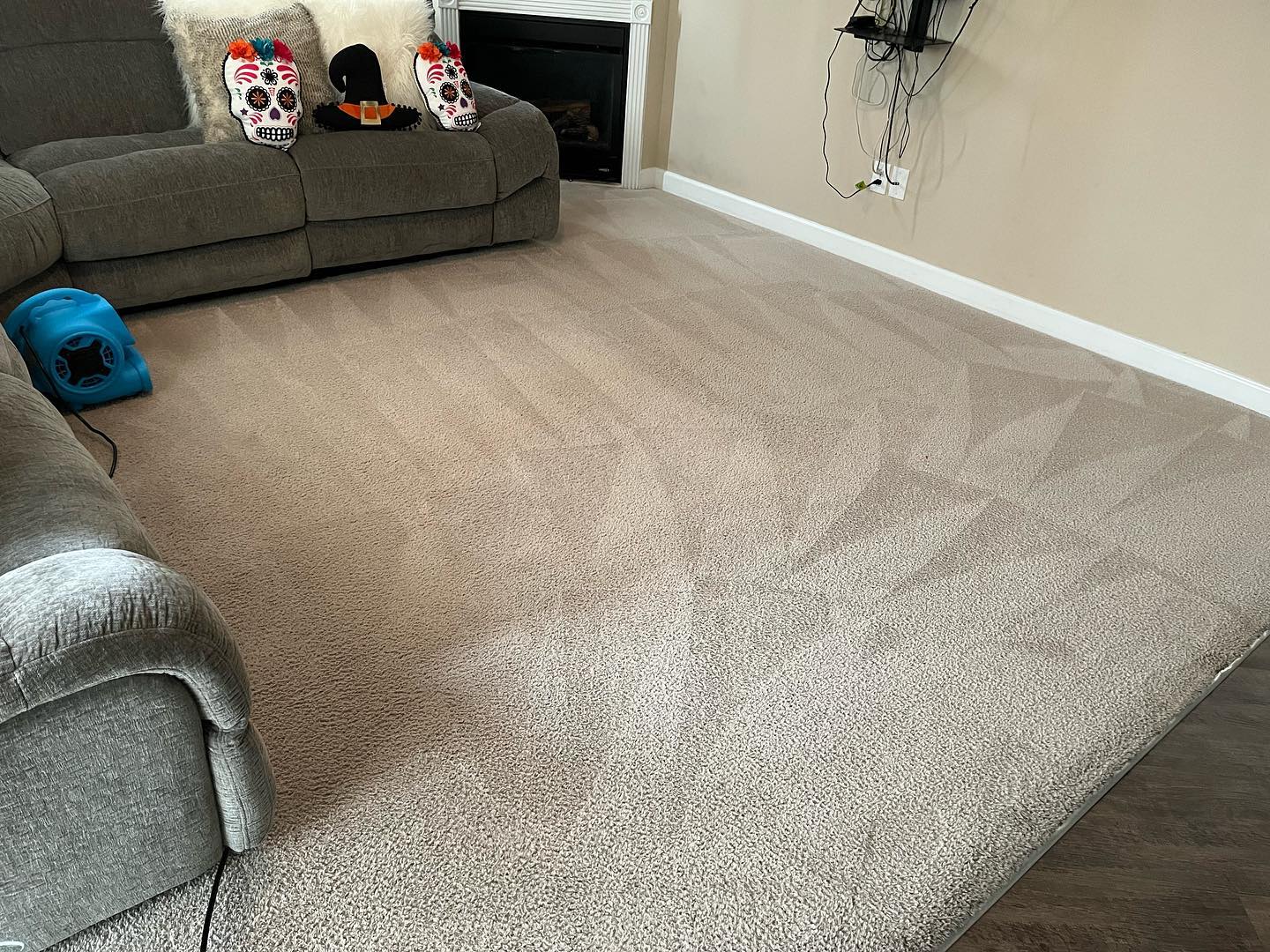 Carpet cleaning in Brunswick