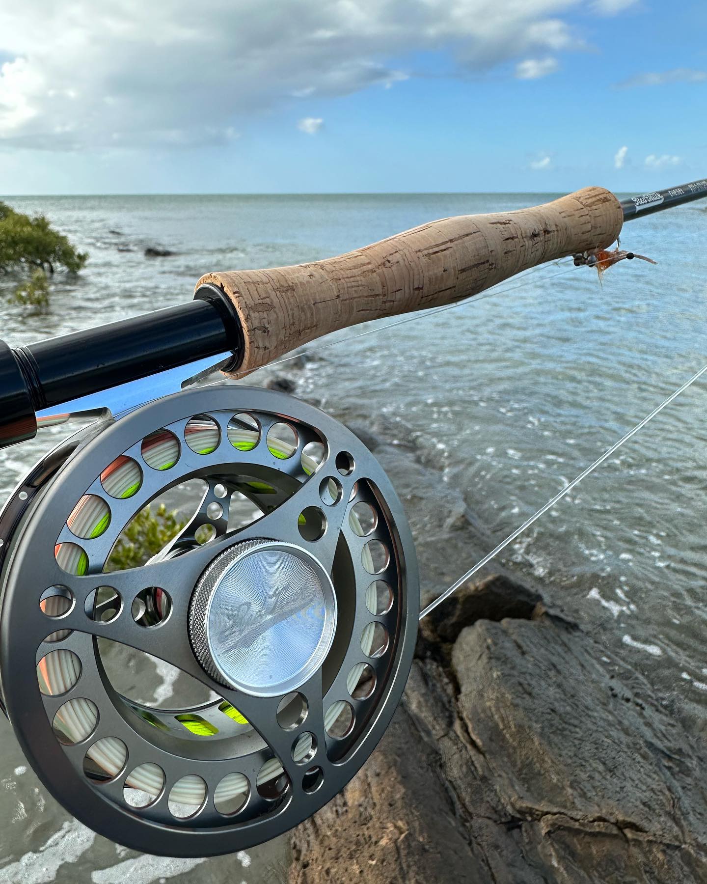 One day I’ll actually catch a fish that will test this reel and I’ll be able to post awesome photos of big fish. Until then, #smallfishstillcount #maybeishouldhireaguide? #castingpractice
#lifegoals #flyfishing #flylife #flyfishingaustralia #flyfishingnz #redtruckflyfishing #saltwaterfly #saltwaterflyfishing #flyfishingtrip