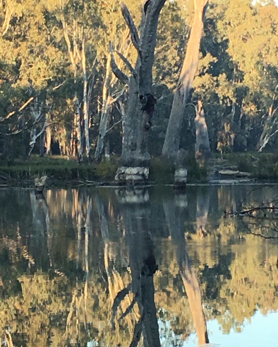Dawn on the ovens rover