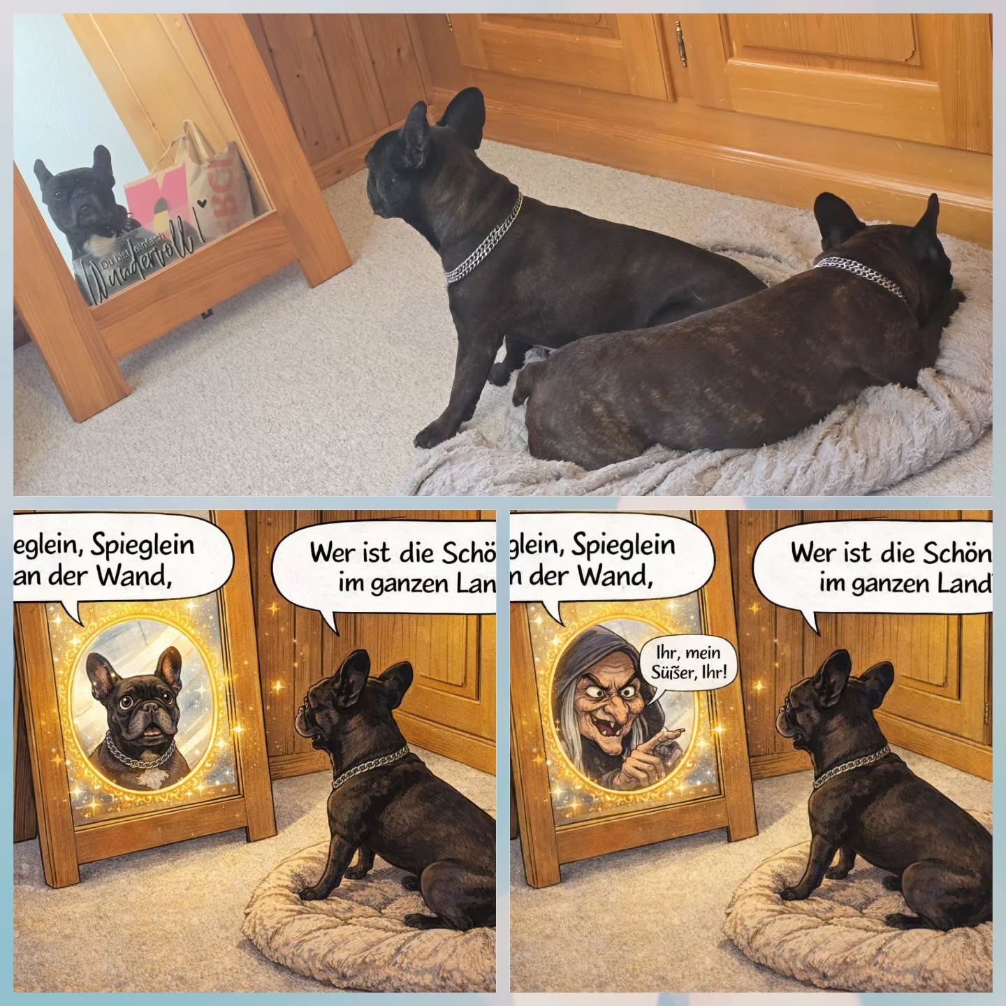 Schnappschuss, wie sich d Fiona im Spiegel verschlofe ah gügslet🥰🤗✨️😅