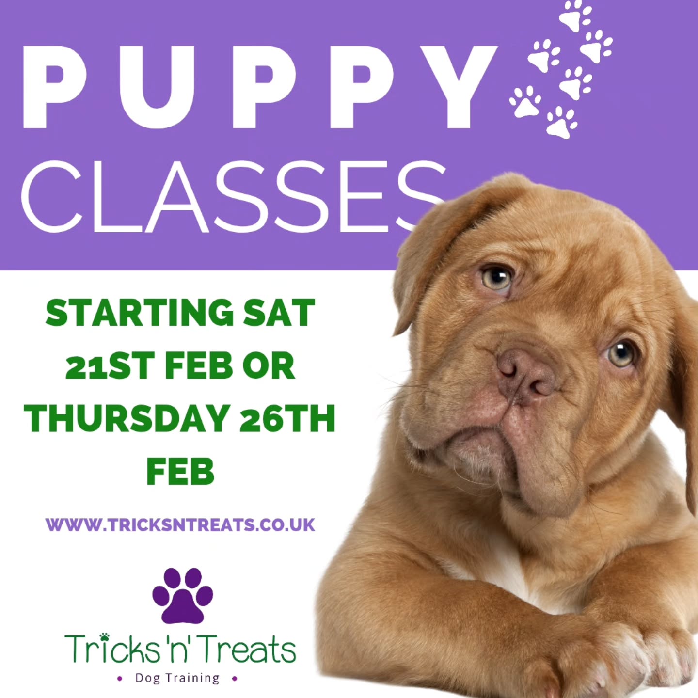 🐶 Got a new puppy? Let’s start off on the right paw! 🐶
Our puppy classes are designed to help you build a happy, confident, well-behaved dog from day one.
We cover all the essentials like:
✨ Basic training & good manners
✨ Socialisation done properly
✨ Confidence building (for pups and owners!)
✨ Fun, reward-based learning
📍 Saturday mornings in Elstead
📍 Thursday evenings in Tongham
Whether you’re feeling a bit overwhelmed or just want to give your pup the best start possible, I’ve got you 🐕🦺
🔗 Book now via www.tricksntreats.co.uk
Spaces are limited 🐾 Link in bio!
#PuppyClasses #Elstead #Tongham #PuppyTrainingUK #DogTrainingSurrey