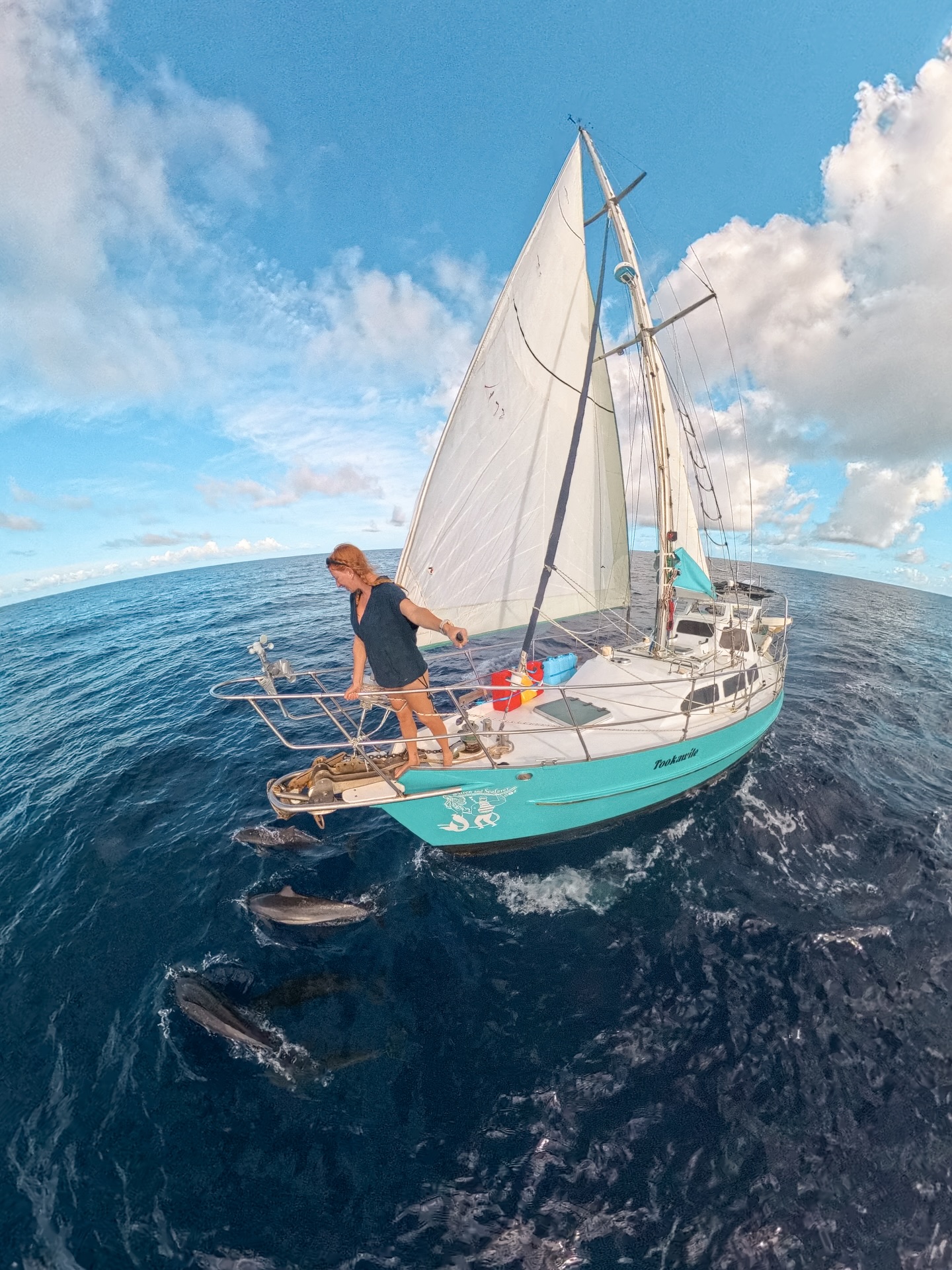 Dolphins riding the bow never fails to make me smile! And not only because it means we are doing more than 5 knots.
On the final stretch of our voyage now! Next stop: Mooloolaba / Sunshine Coast 🤗
#Sailing #BoatLife #Dolphins