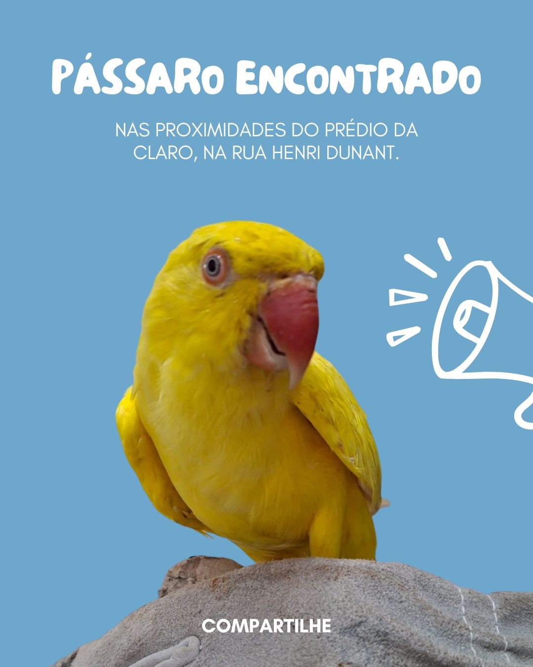 Pássaro encontrado nas proximidades do prédio da Claro, na Rua Henri Dunant. ⚠️
Ele está em segurança, sob cuidados temporários.
A devolução será realizada somente mediante apresentação da numeração da anilha, para garantir que seja entregue ao verdadeiro responsável. ⚠️
Pedimos que compartilhem esta informação para que ele possa voltar para casa o mais rápido possível. 🙏🏻
#petplace #passaroencontrado #passaroperdido #ajudeaencontrar