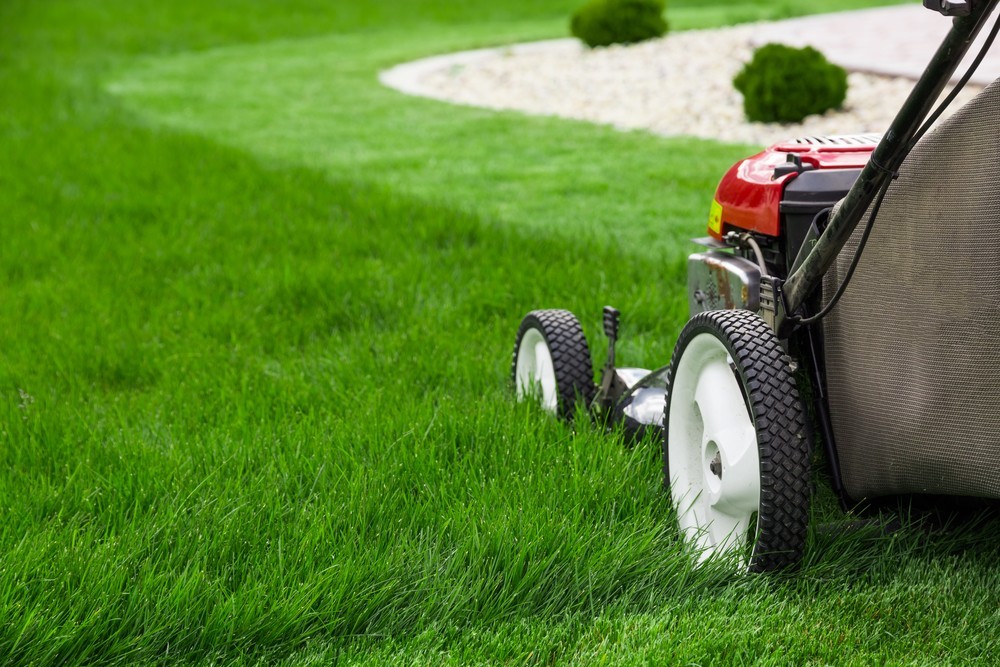 Stop struggling to take care of your property, and go enjoy it! We can take care of all the mowing and landscaping for you.
https://www.rfr.bz/imcs4qz
#mowing #lawncare #landscaping #terrehaute #indiana #family https://www.rfr.bz/imcs4qy