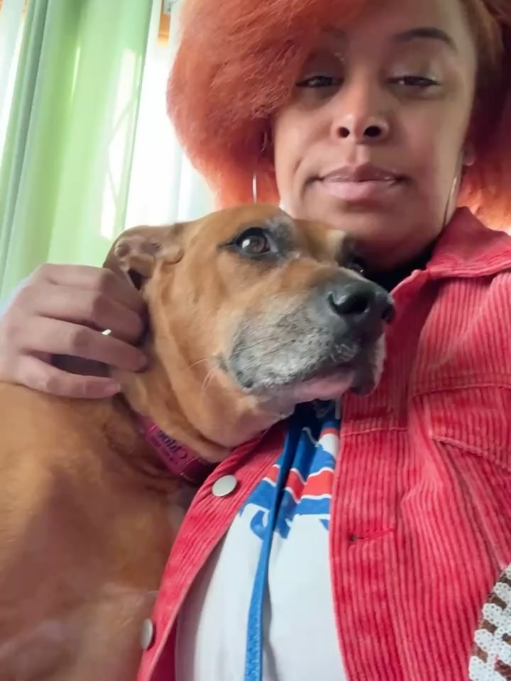 Today my Chloe went up to doggy heaven… my second baby I’ve had to put down… 🥹🐶😇
From the moment we walked in the house to pick a puppy and you peed in front of my foot, you chose me to be your mom. You made almost 10 years and I know you don’t regret a single plate or treat my big girl. I love you so much and I know you’re being the best girl to everyone up there. Give them the biggest hugs for me and one day you’ll run back into my arms to greet me coming home again. 🙏🏾
I’ll love and miss you forever Chloe Noel Parker🫶🏽💕